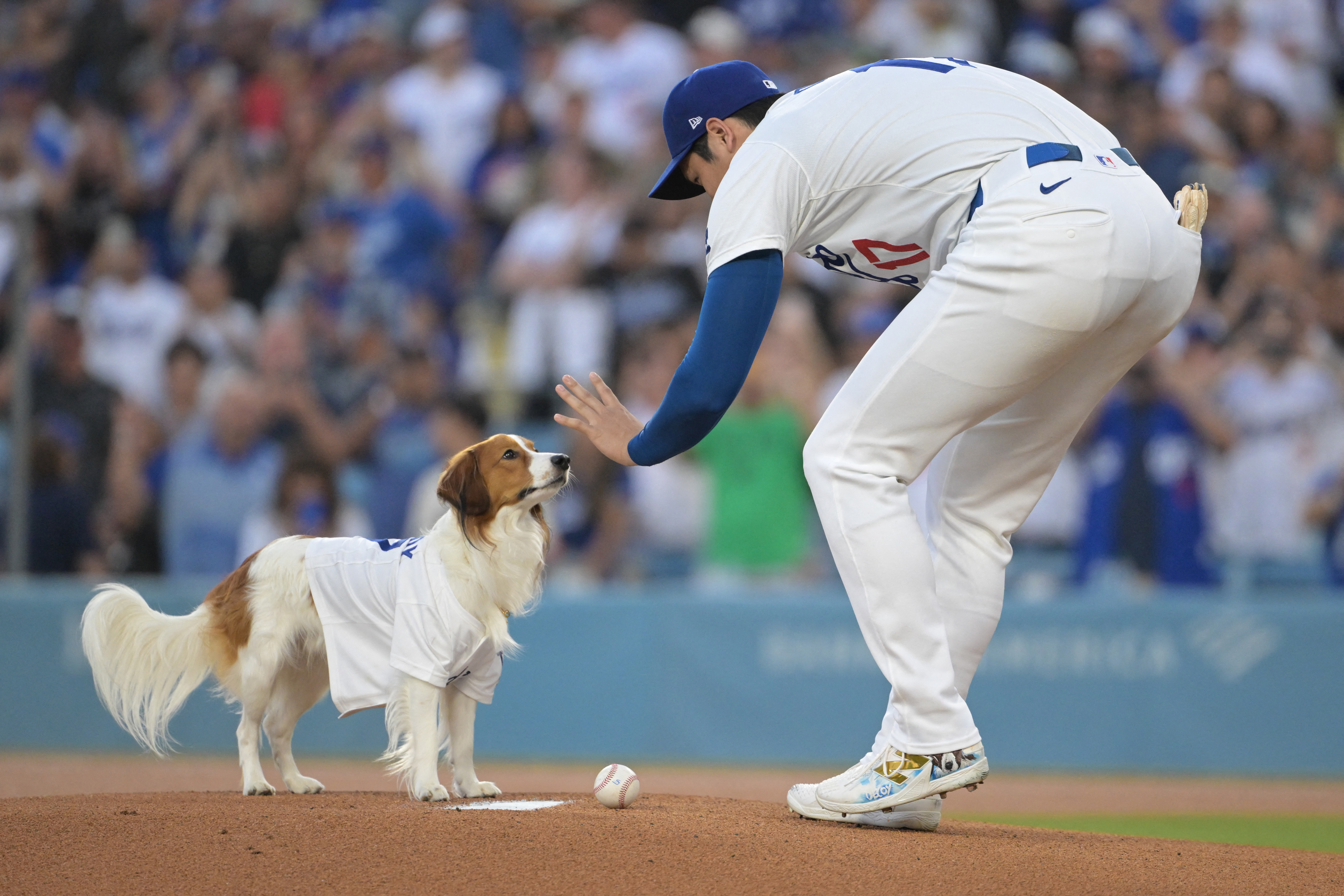 本当のMVPは大谷翔平ではなかった？！ ドジャースが公式Xで発表した名