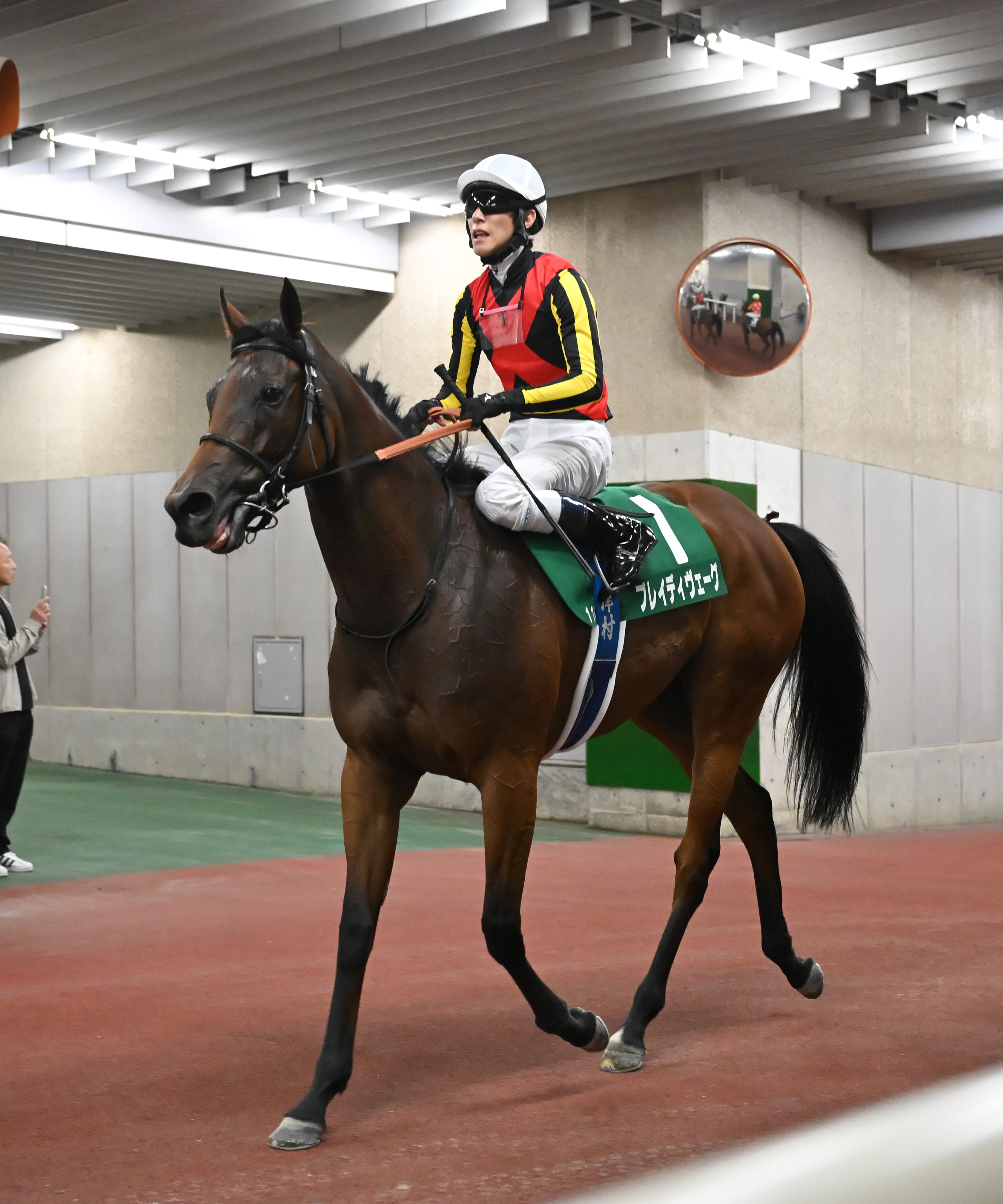 2年前のエリザベス女王杯勝ち馬ブレイディヴェーグは天皇賞・秋