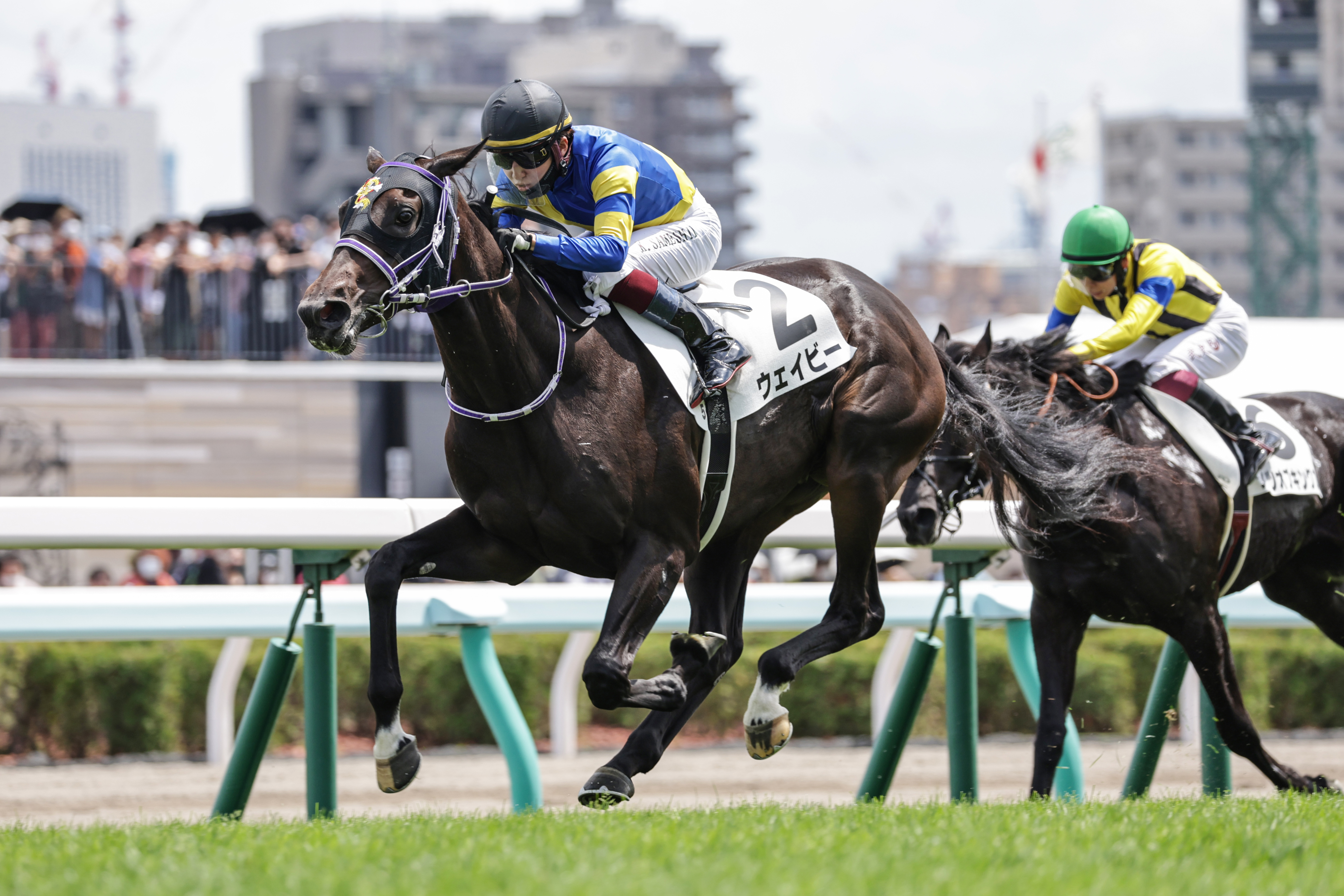 ２歳新馬 札幌５ｒ ウェイビーが最速の末脚で快勝 鮫島駿騎手 学習能力が高い馬 サンスポzbat