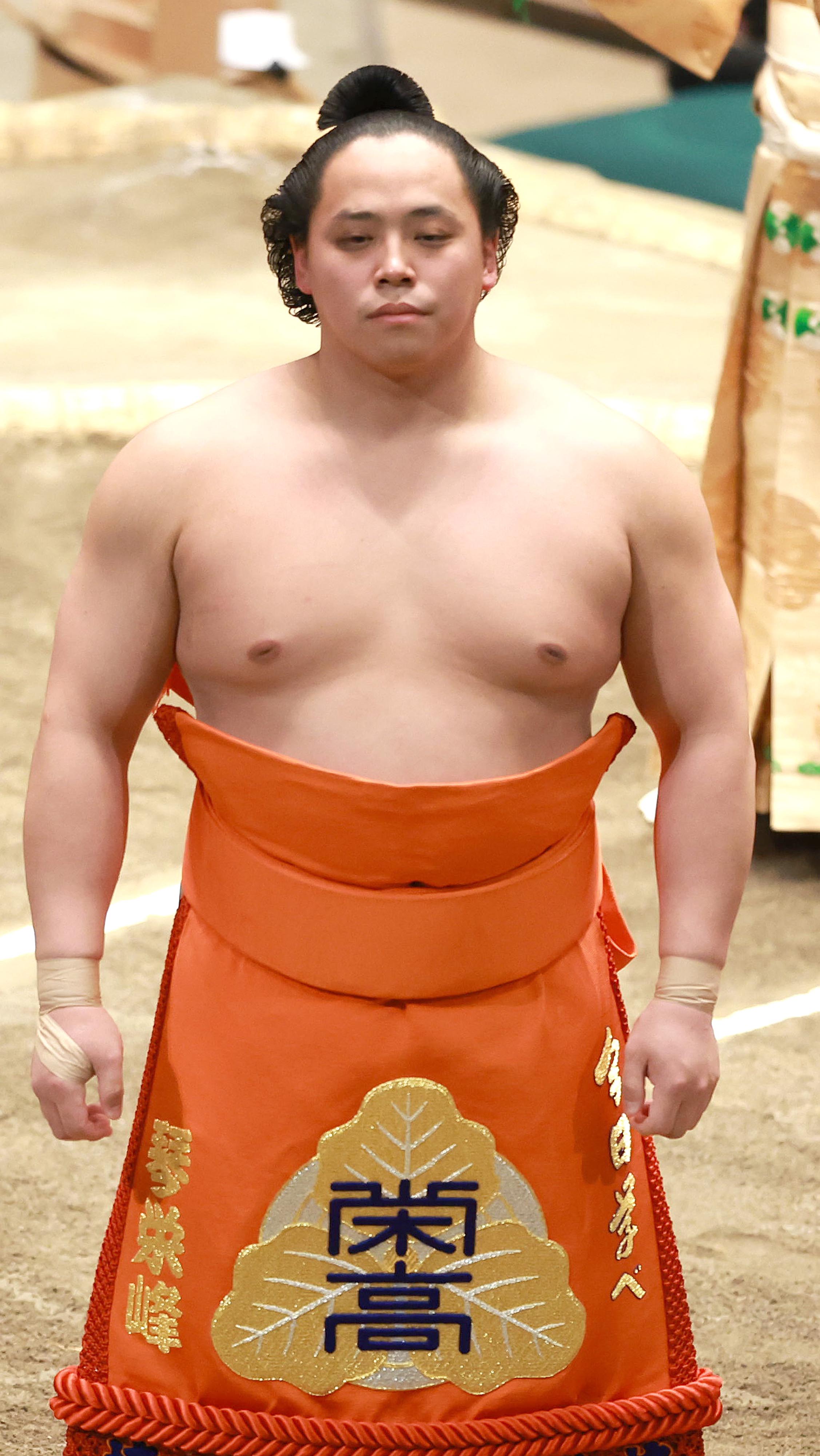 まめこです。琴勝峰 jambalaya_21sumo-19