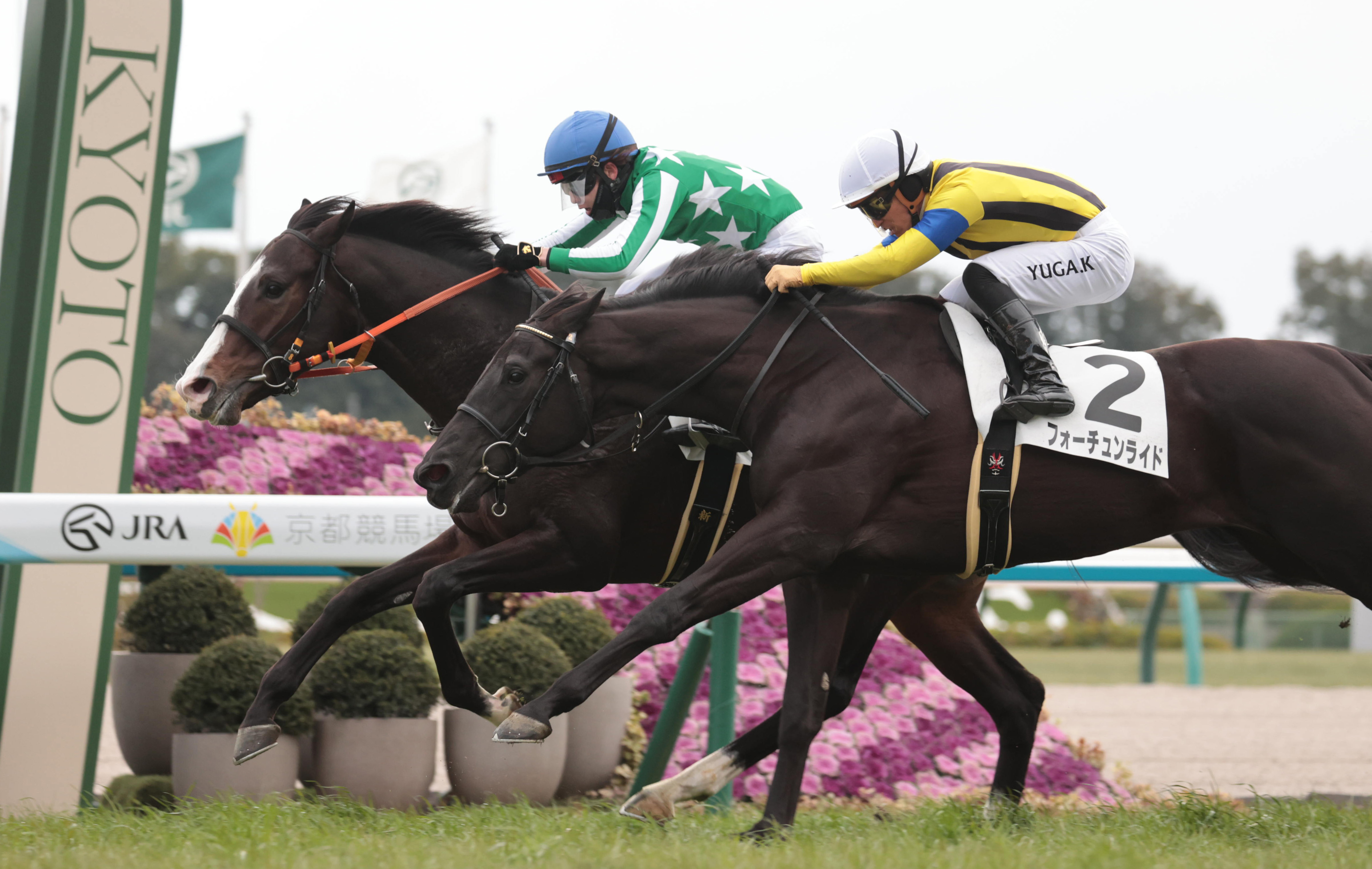 3歳新馬・京都5R】13番人気タイキルッジェーロが単勝170.6倍の大金星