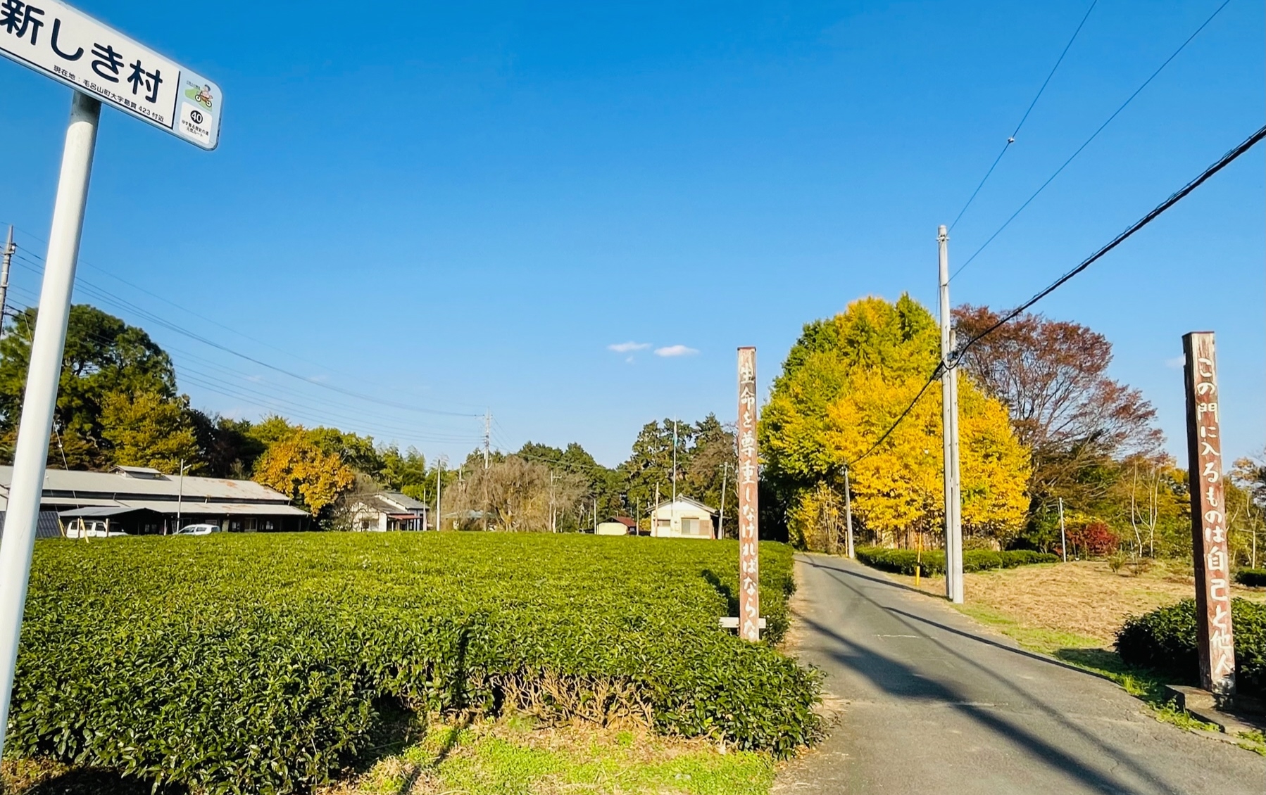 SAITAMA珍奇ツアー】「自他共生」の理念つなぎ100年 実篤の
