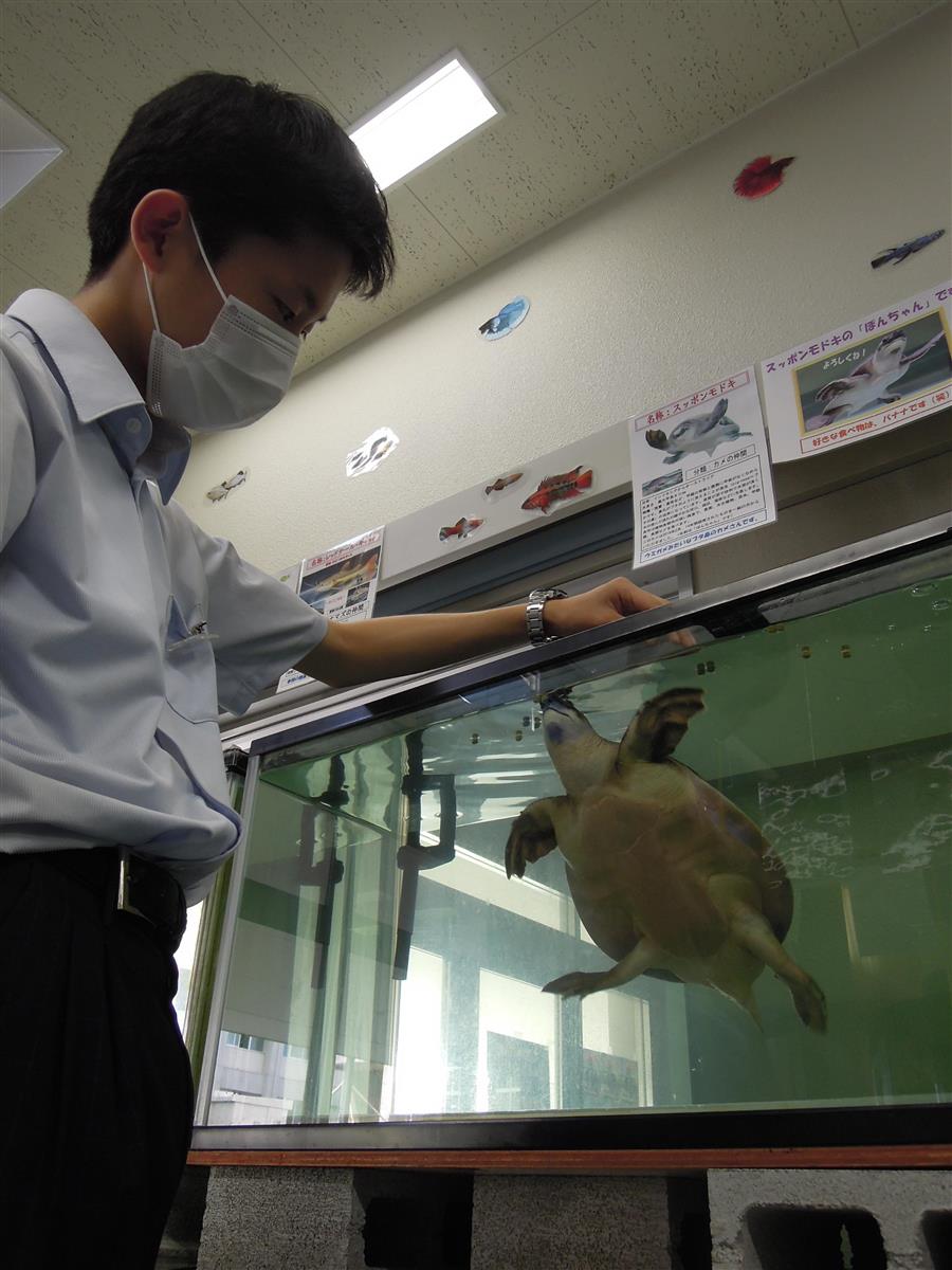 部室 に年間２千人 高校生が運営する水族館の見所 1 2ページ イザ