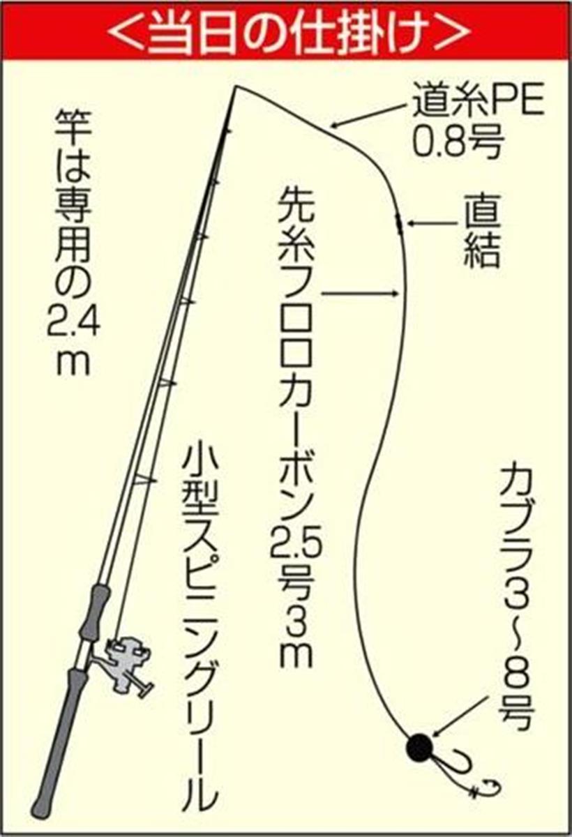 ゴールデンタイムにマダイ爆釣 ありさ ひとつテンヤに初挑戦 1 2ページ サンスポ