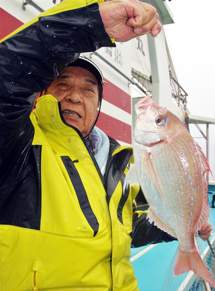 ハナダイ好調トップ２０ ４０尾 お正月の膳に コマセシャクリで狙う 外房 片貝沖 サンスポ