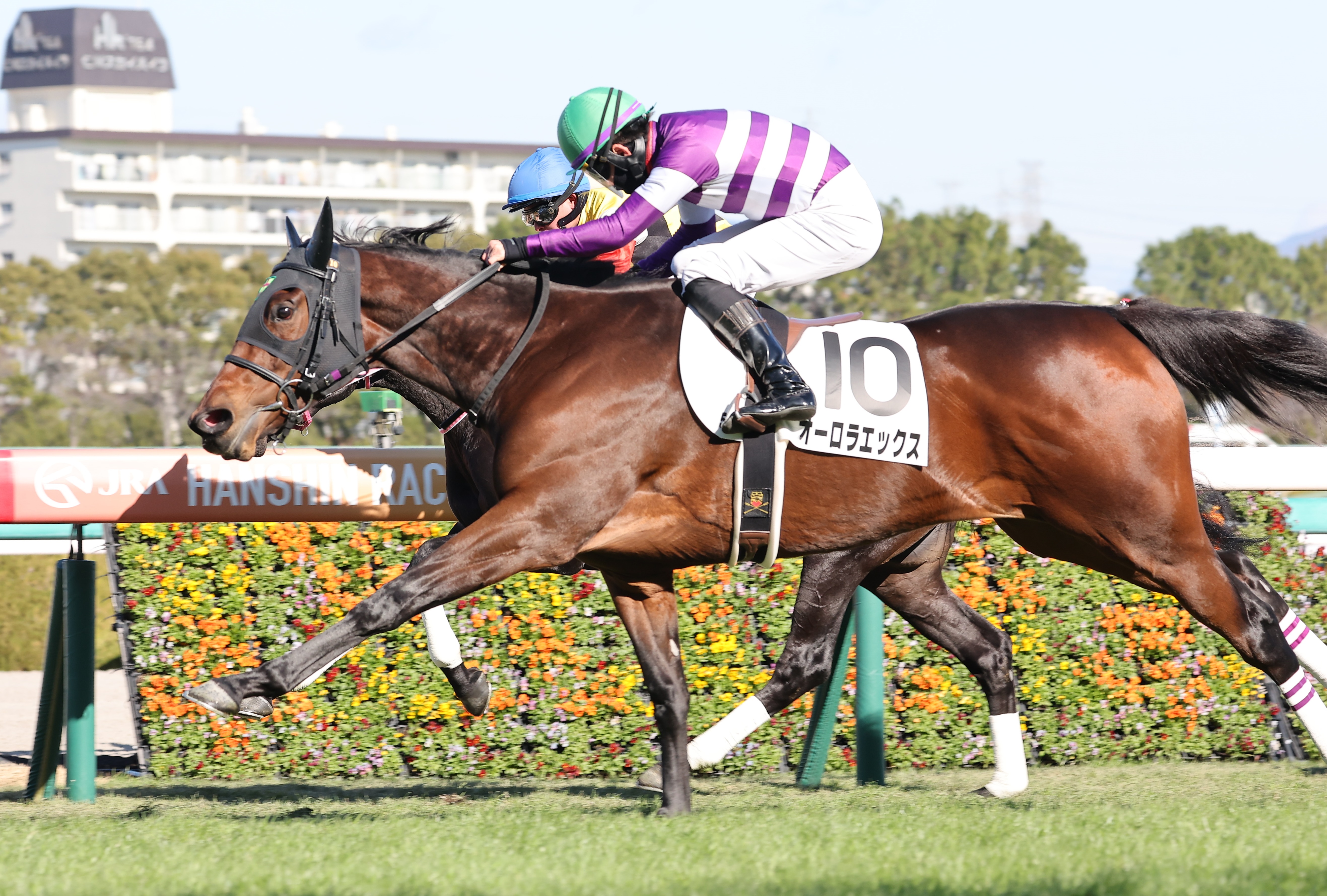 井崎脩五郎のおもしろ競馬学】未来の夜明けを告げる馬 - 産経ニュース