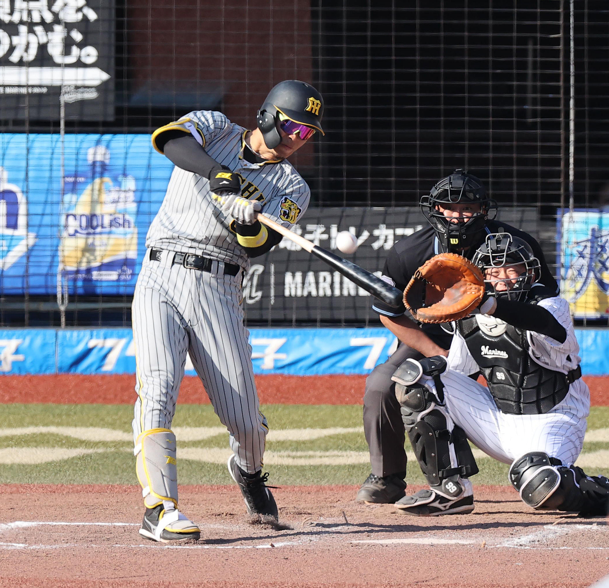 プロ野球風雪 30年 の夢