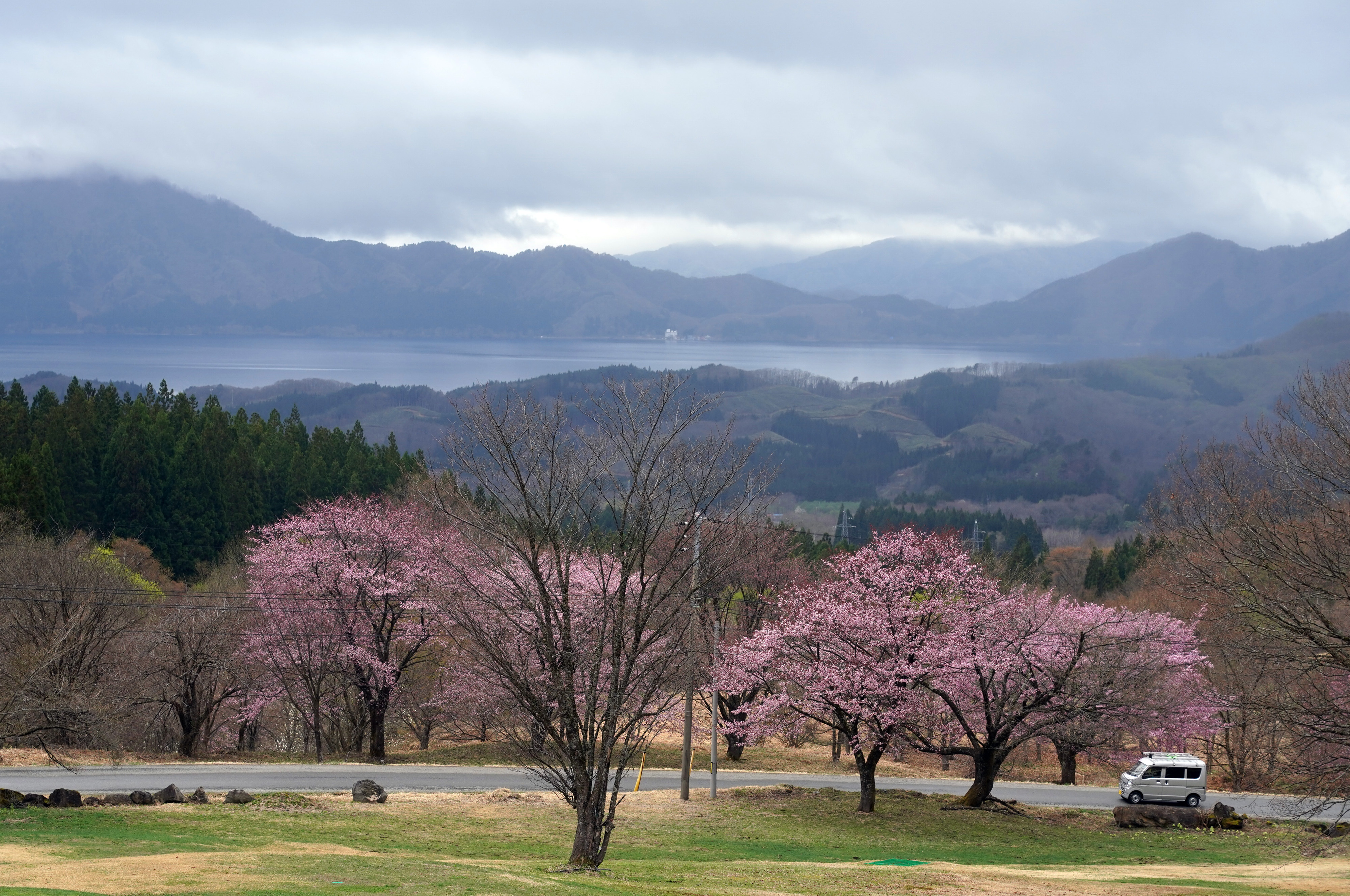 峰松　湖舟作　秋草花　当時評価額 420,000 峰松 湖舟作 秋草花 当時評価額 420,000 今夜も あさひ舟川の景色で
