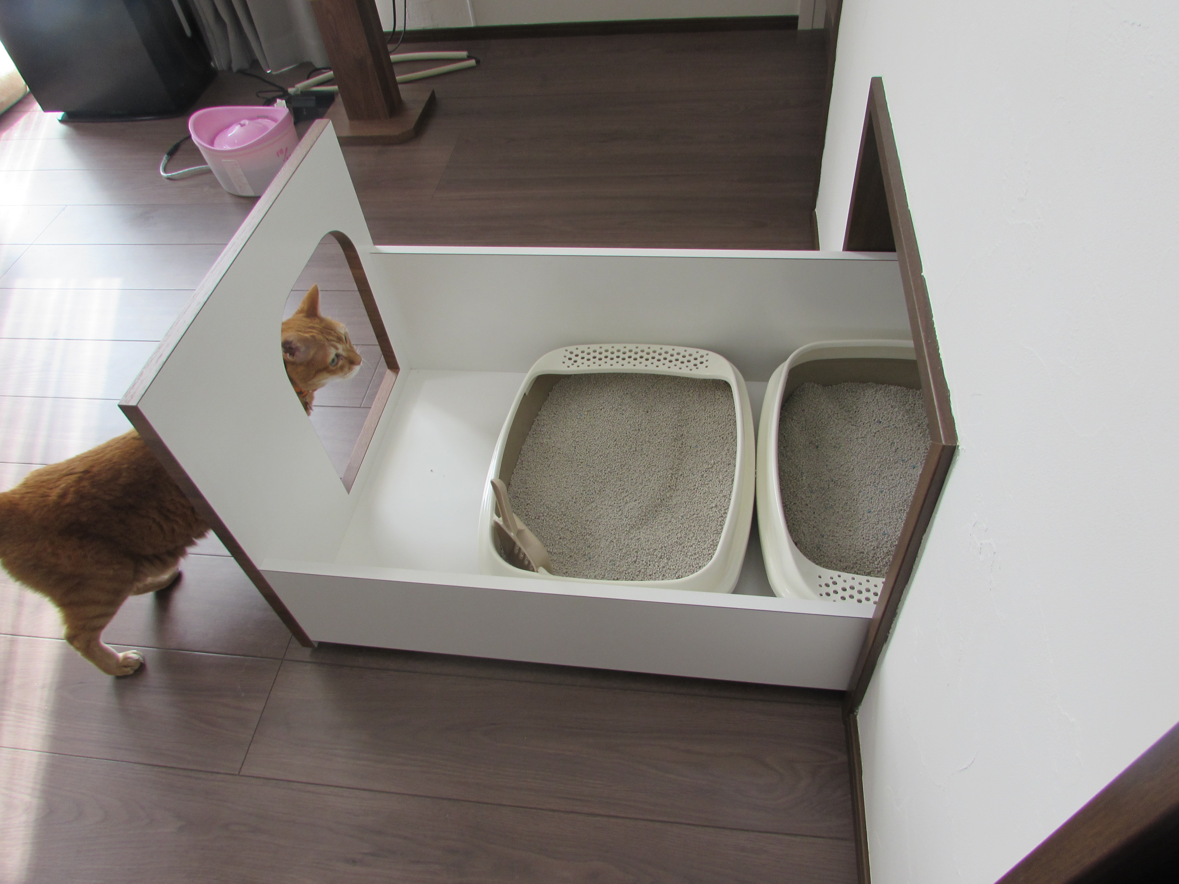 猫好き社長が考案 猫と人が暮らす家 来年発売 産経ニュース