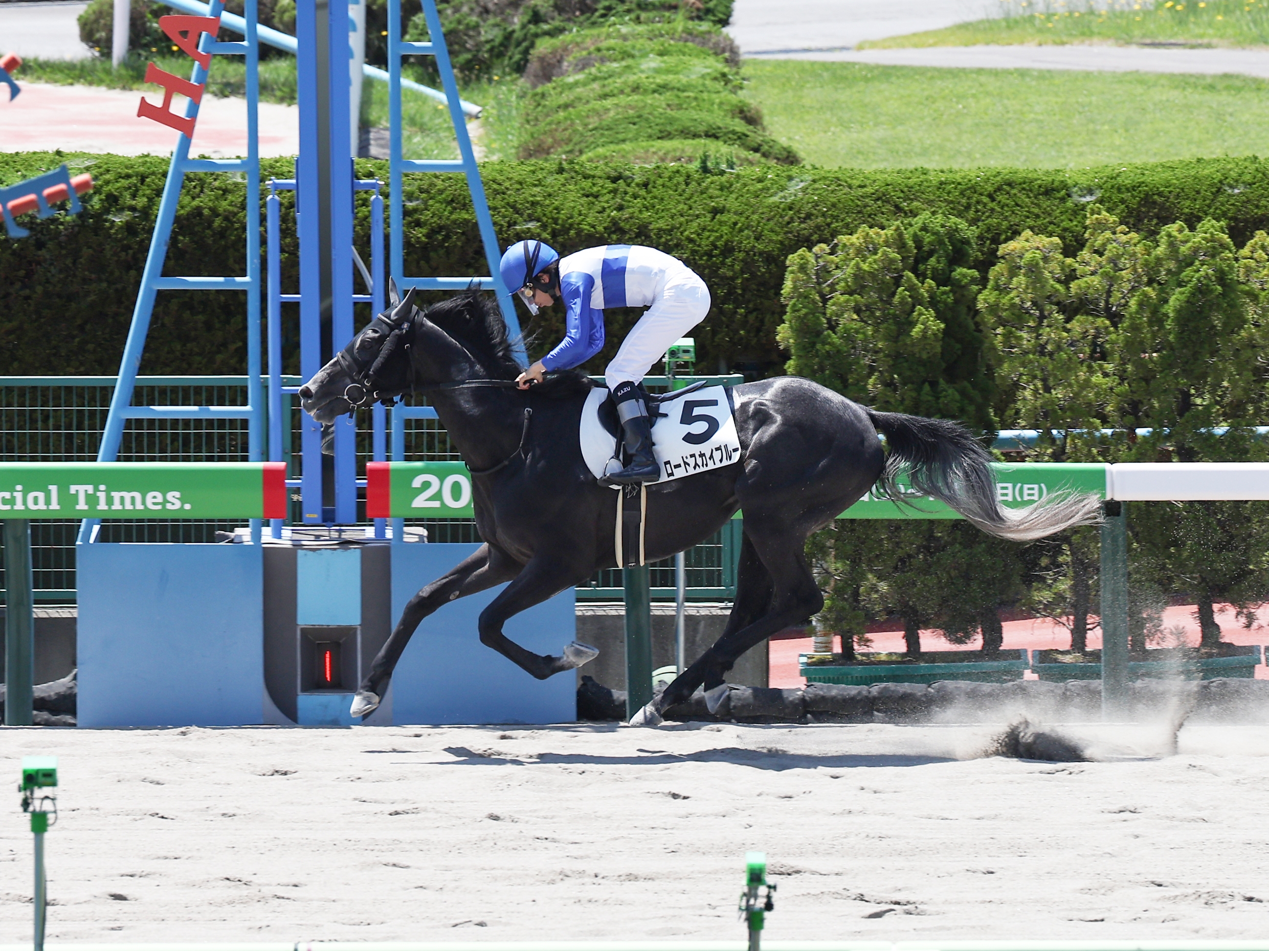 八朔合馬 横山和生騎手が4日間騎乗停止 函館4Rで斜行 - サンスポZBAT!
