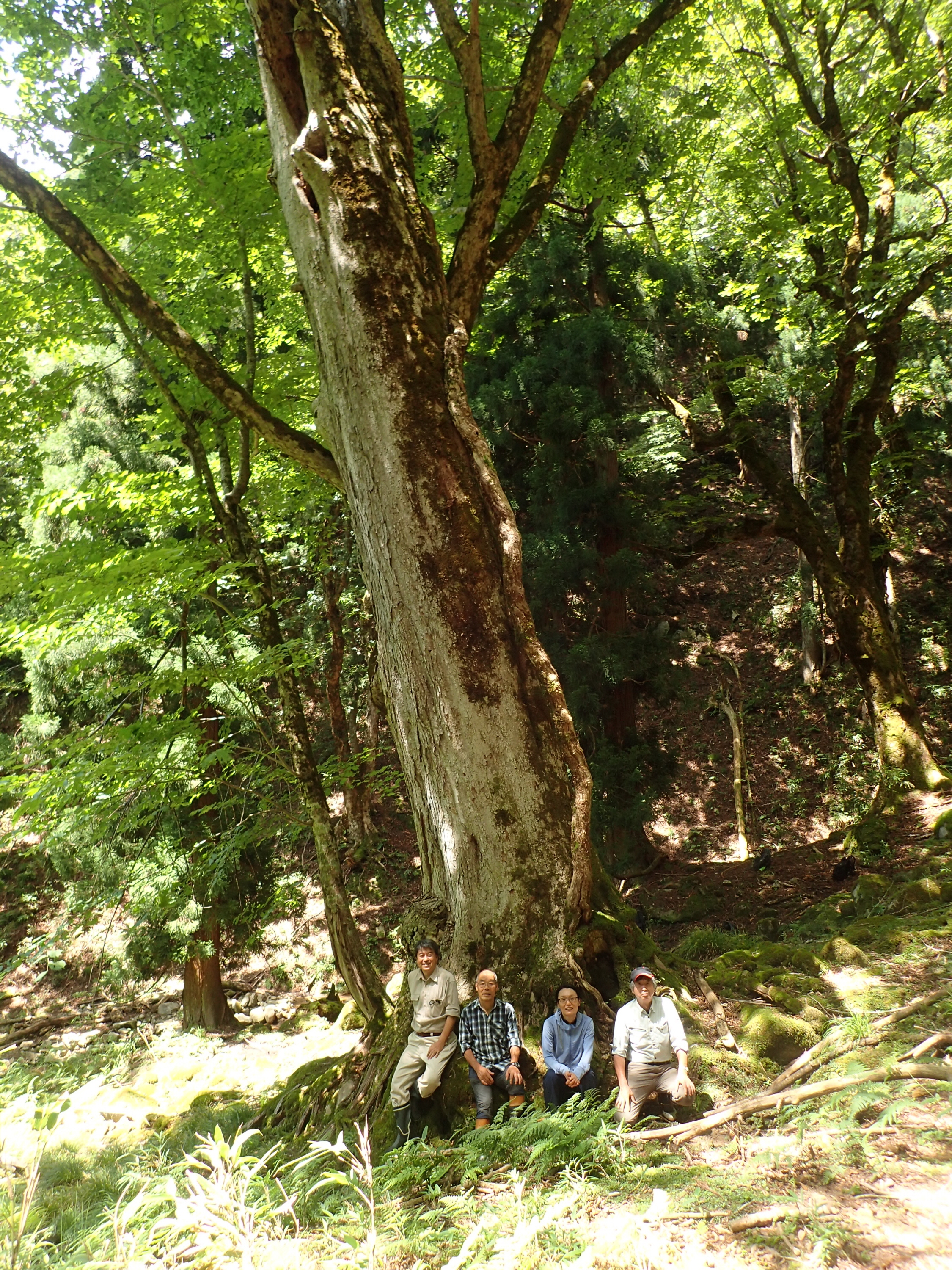森林面積9割超の「スギの町」から全国発信 年間800人が参加する「山人