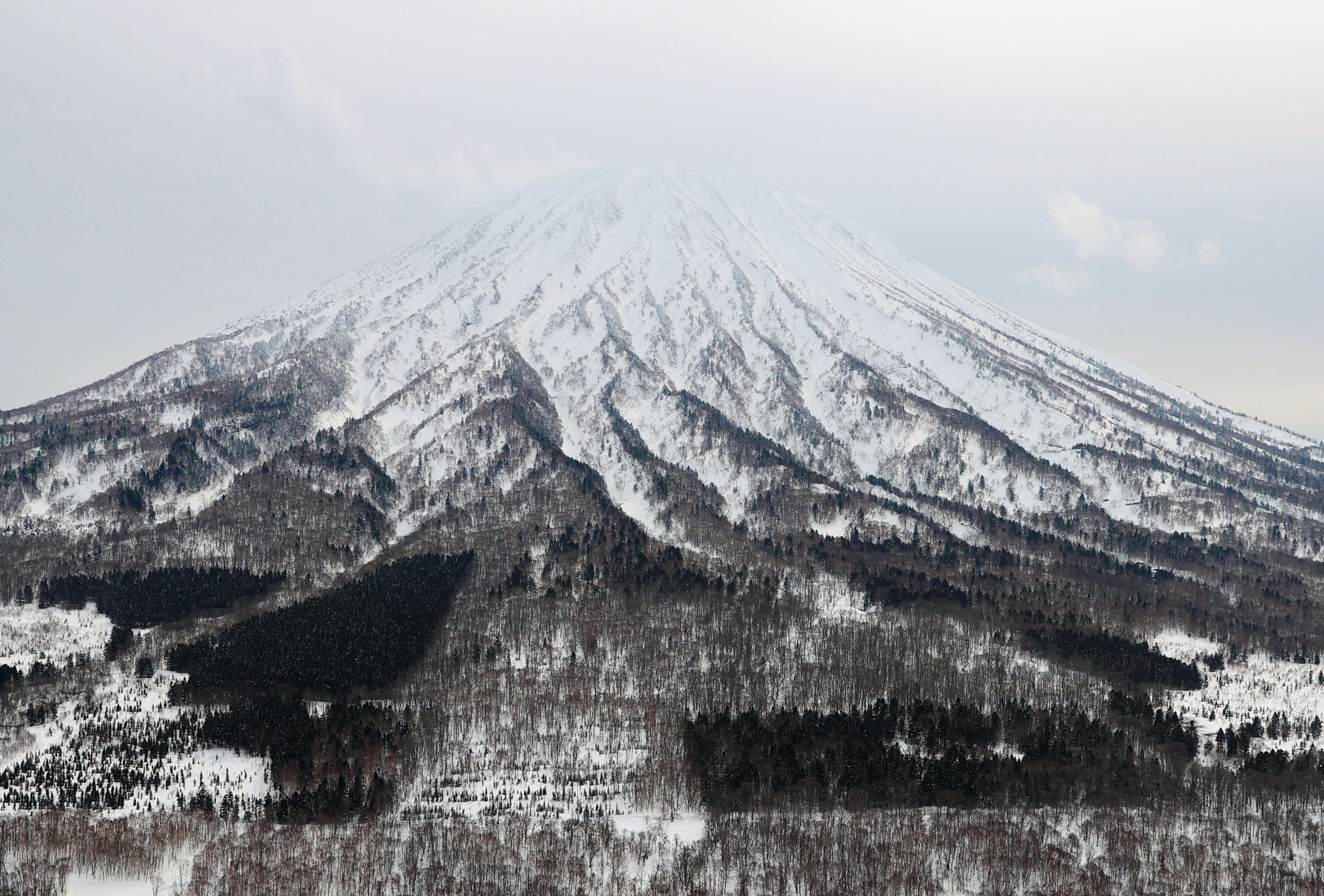気温上昇で雪崩事故頻発、専門家「地形見て防げる」 羊蹄山や利尻山で