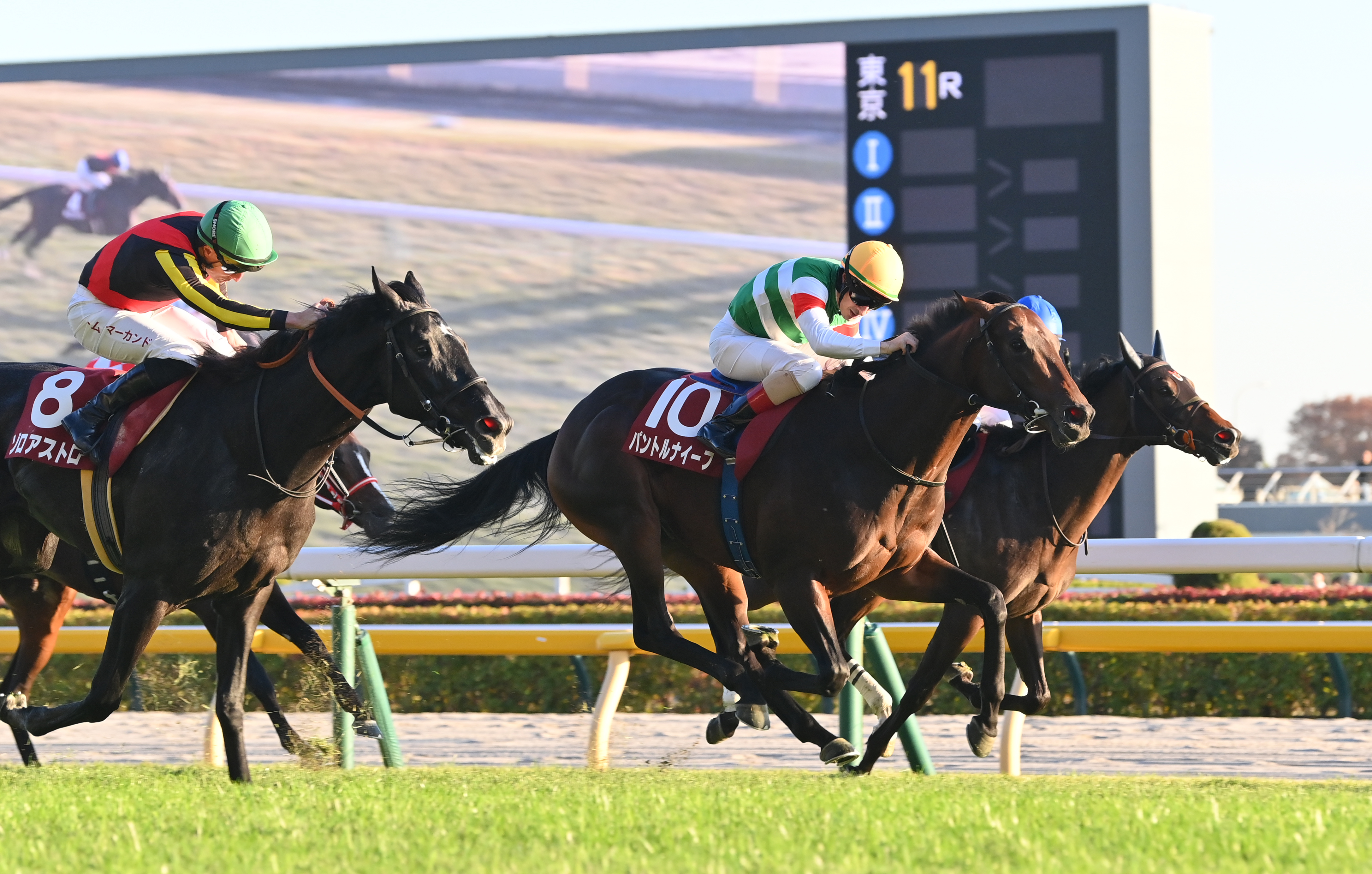 弥生賞ディープインパクト記念の注目点】東スポ杯2歳Sの上位馬が3頭