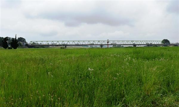 ロケ地巡りの旅 映画 植物図鑑 運命の恋 ひろいました 豊富な花材で すてきな花冠 茨城 常総市の橋本運動公園 1 3ページ 産経ニュース
