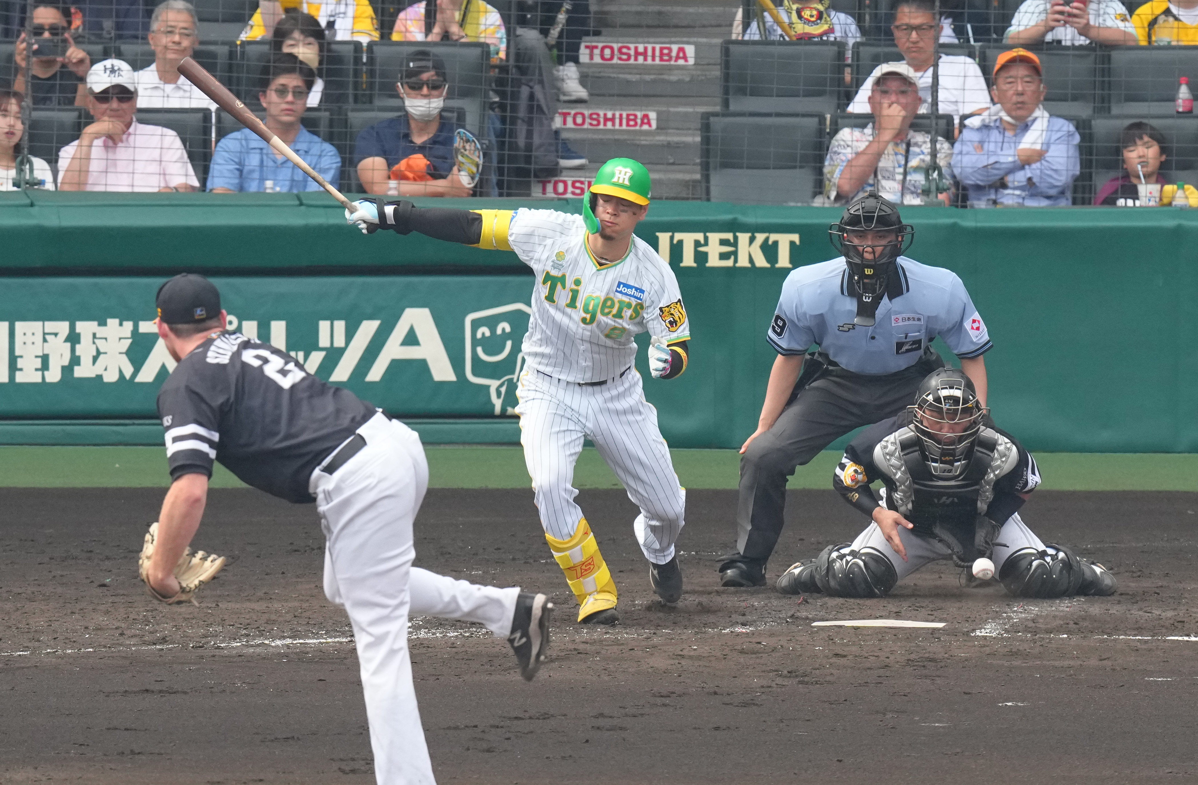 6/5(日）14：00～ 阪神対日本ハム 交流戦 阪神甲子園球場 - チケット