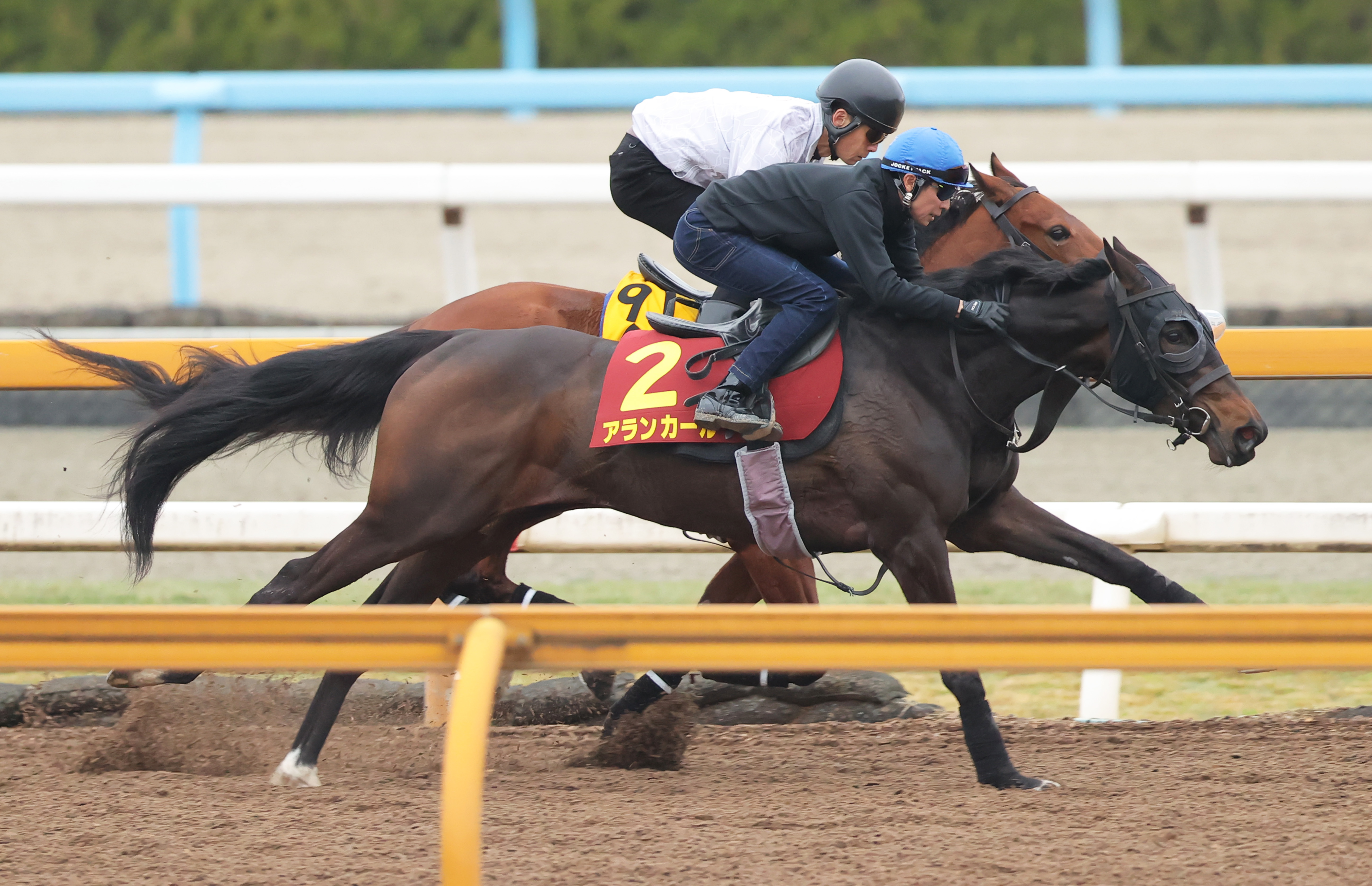 桜花賞 1週前追い切り】2歳女王スターアニスは坂路ラスト12秒2 松山