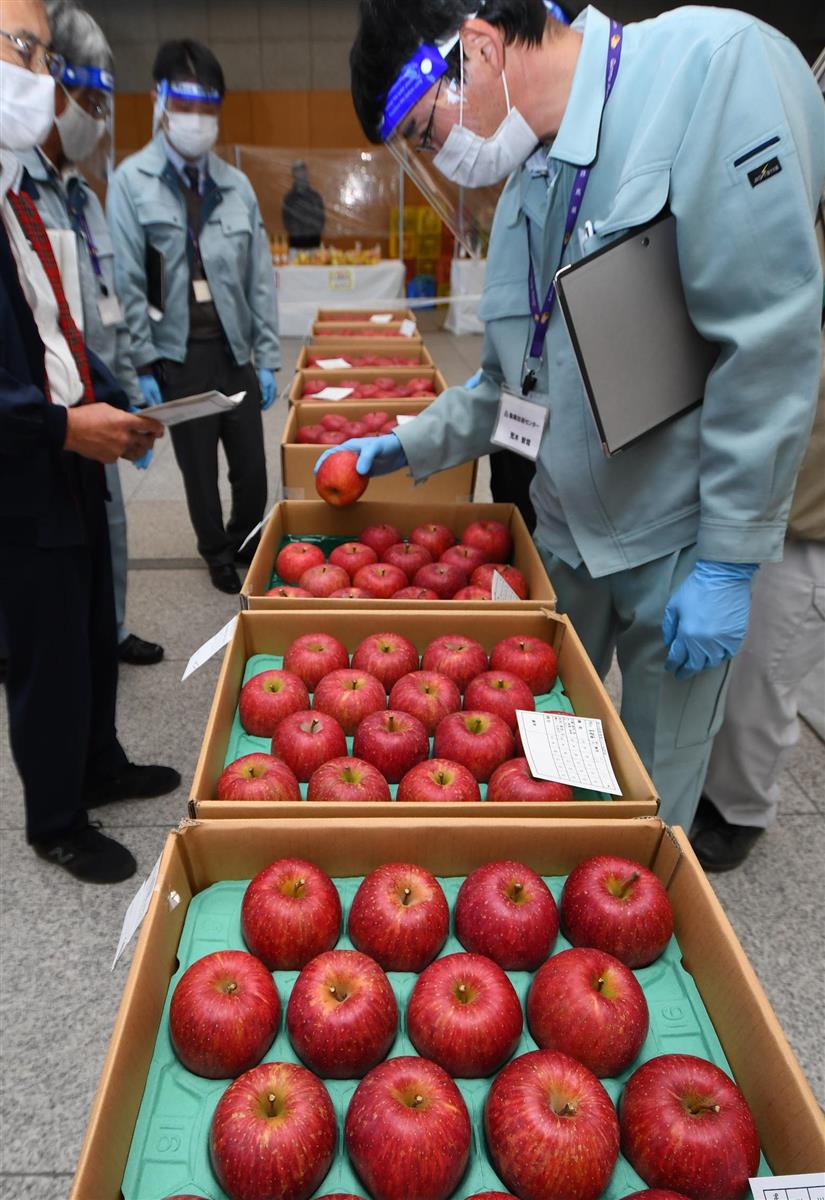 群馬県でりんご品評会「過去最高の甘いリンゴ」 - 産経ニュース