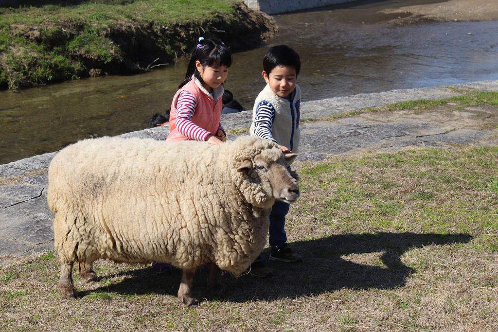 河川敷でヒツジを探せ 除草効果は本当にあるのか 1 3ページ 産経ニュース