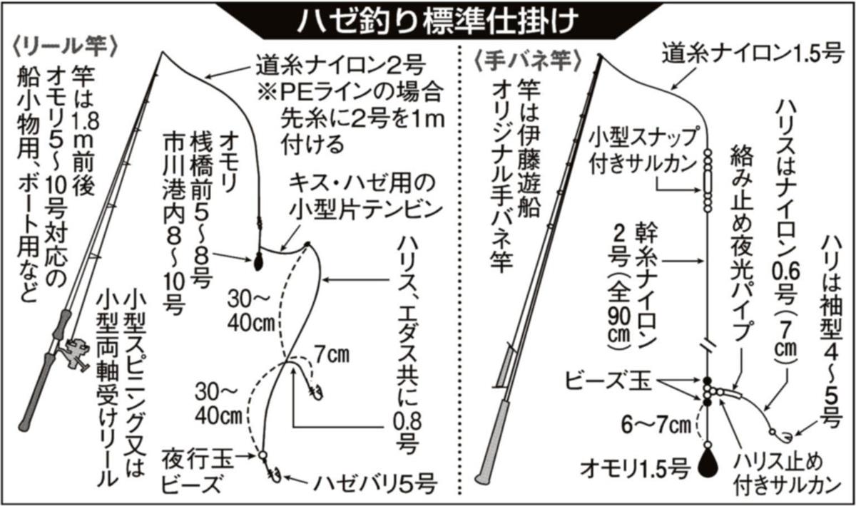 ボートハゼ絶好調 市川市 江戸川放水路 ファミリーもお土産確実 2 2ページ サンスポ
