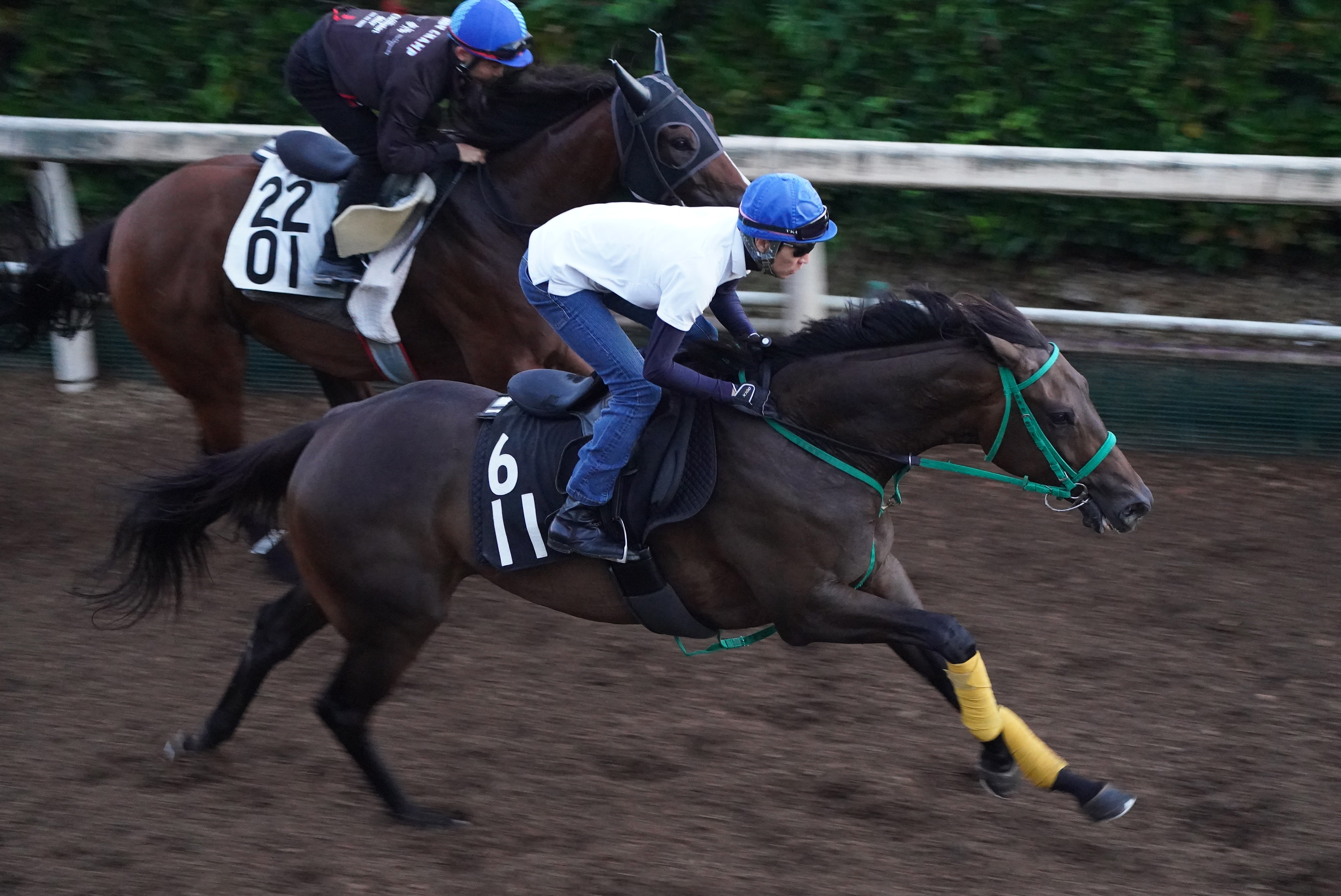 【ローズＳ】武豊騎手がソーダズリングの追い切りに騎乗 ...