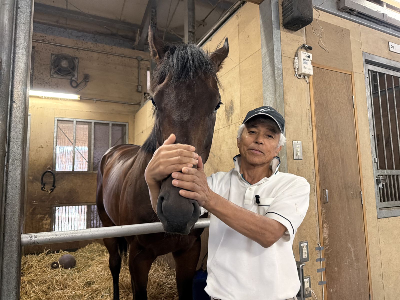 今週の注目新馬】国枝元調教師が担当するトゥザファイナル 愛称は