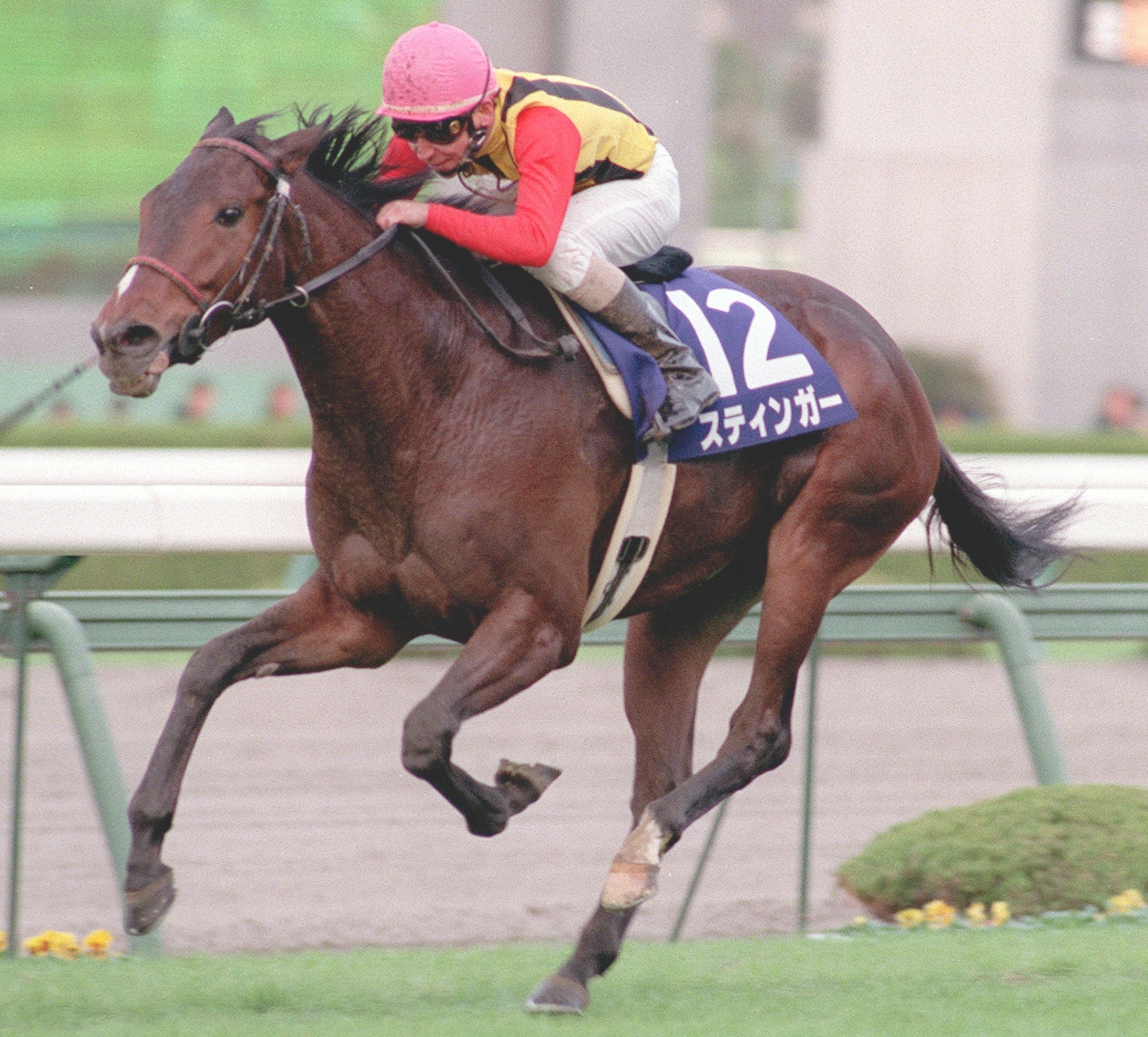 スティンガー 優勝 横山典弘 騎手 第50回阪神3歳牝馬S(G1)1998年12月6