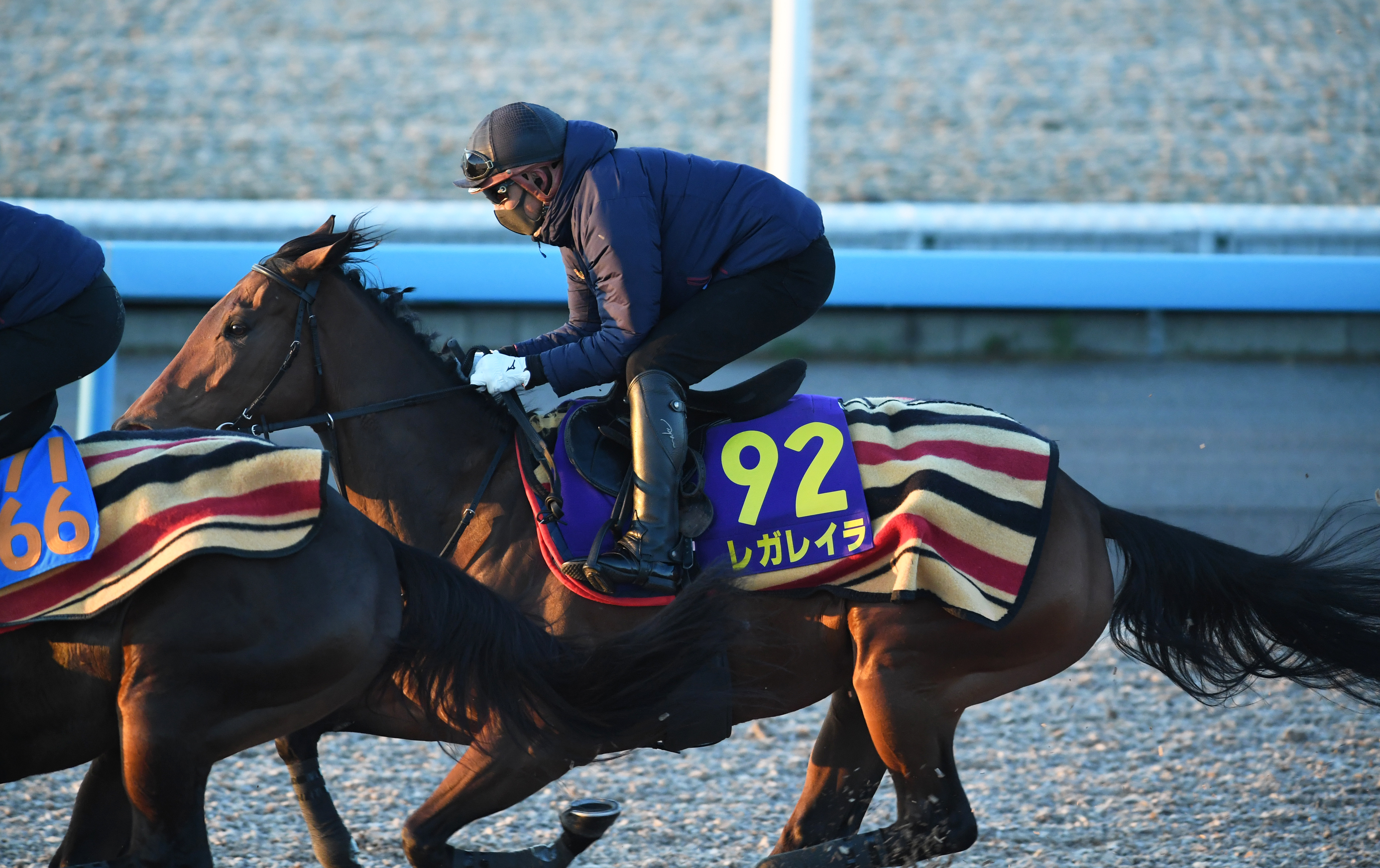 有馬記念 1週前追い切り】ファン投票1位レガレイラは5ハロン66秒7－11