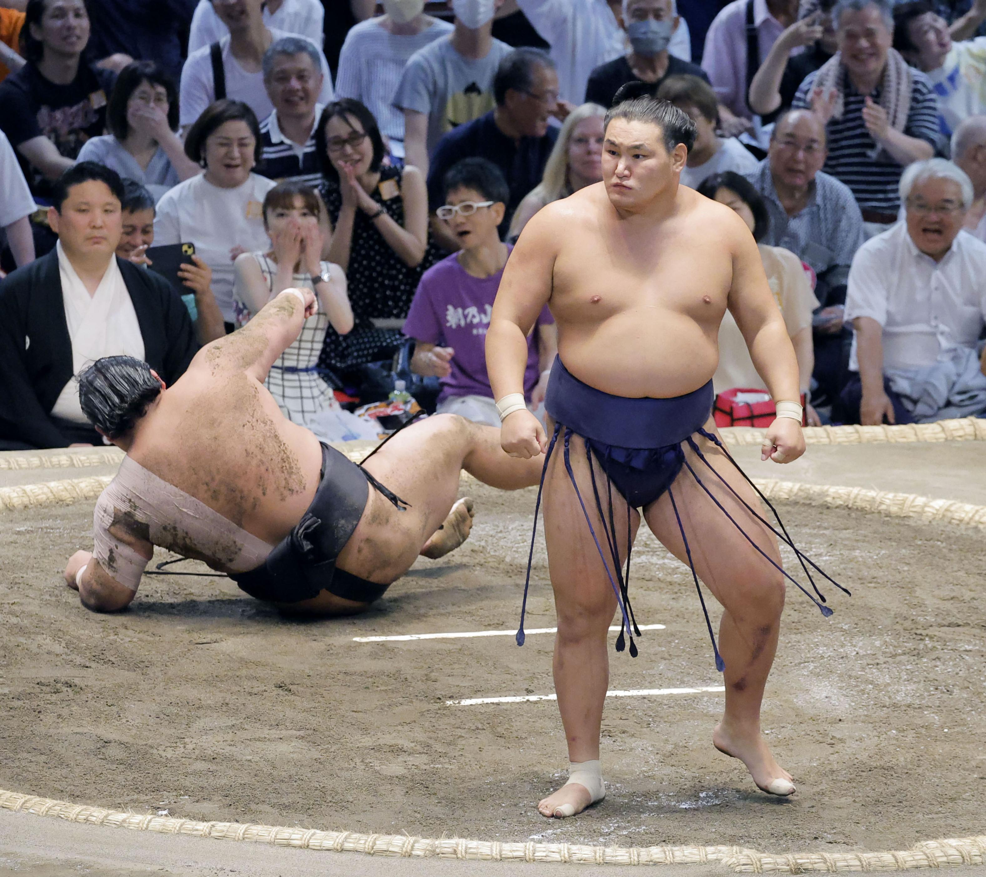 豊昇龍 反物 - スポーツ