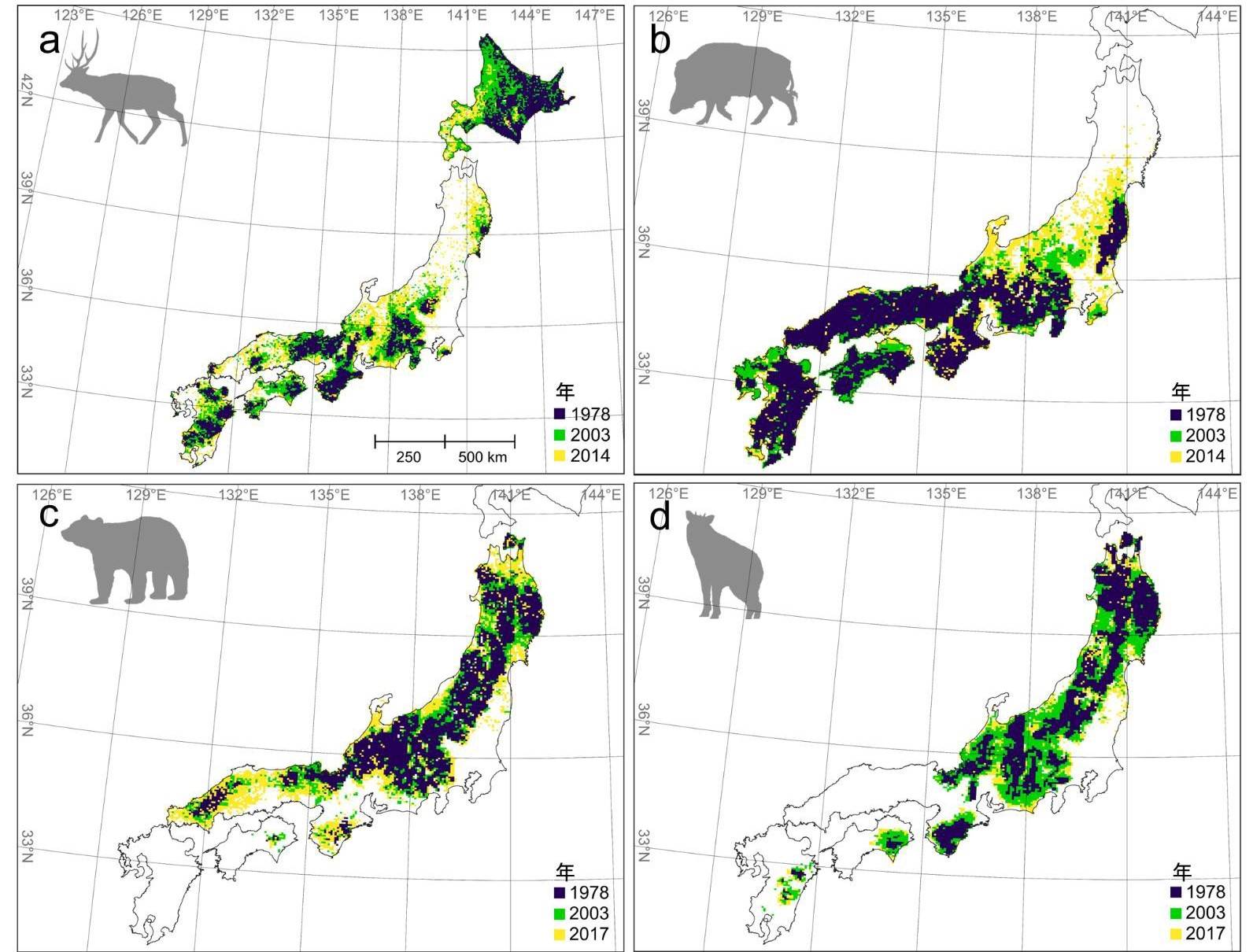 広がり続けるクマなど大型哺乳類の分布域 背景には人口減少に伴う耕作