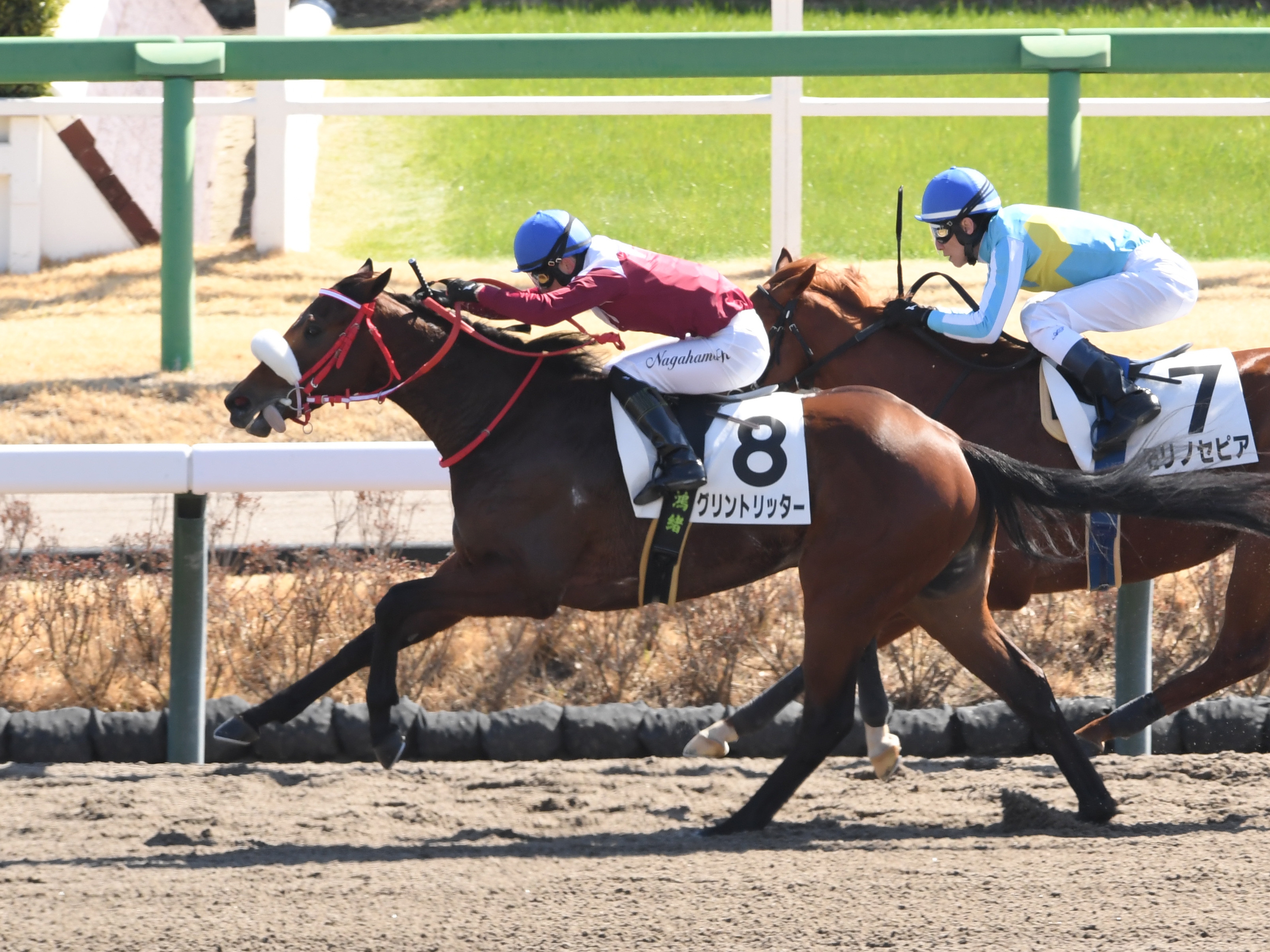 ヒロシのDeepな話】開幕週の福島ダート 重要なのは前走で刷り込ま
