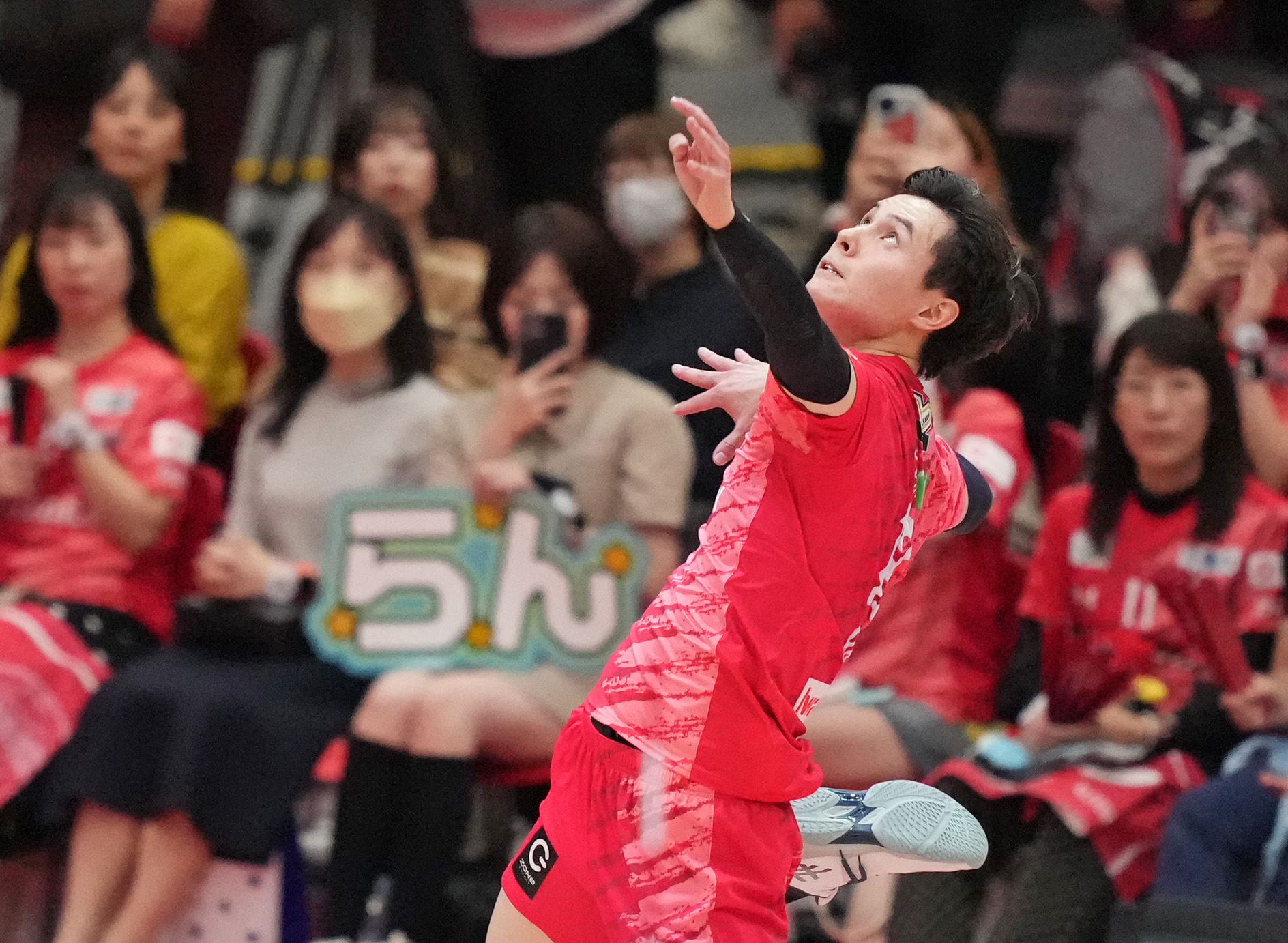 高橋藍効果で満席の男子、空席に苦しむ女子 バレーボールSVリーグ開幕3