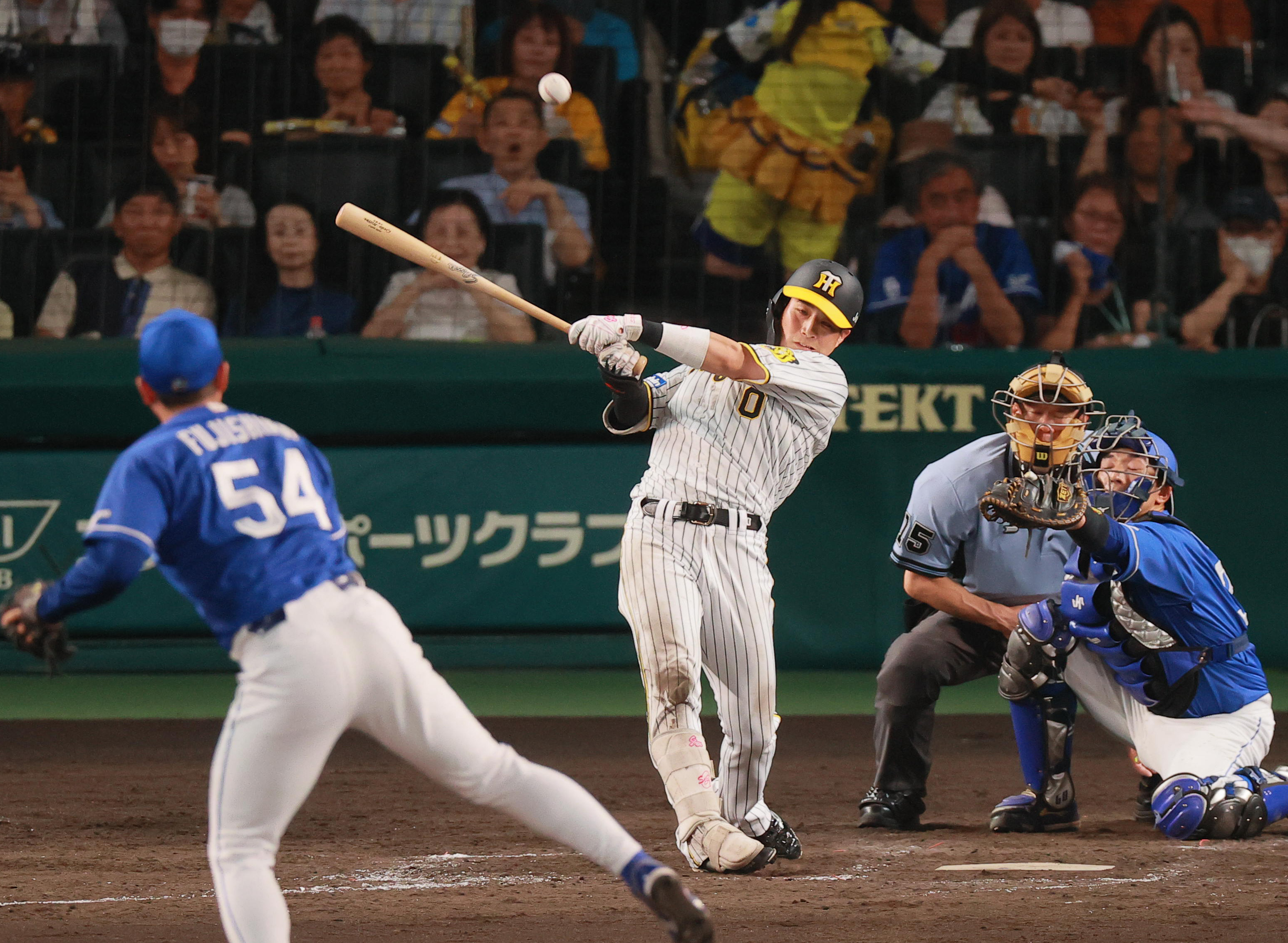 人気激安阪神 vs DeNA 6月25日金曜日 レフト外野シートペア 野球