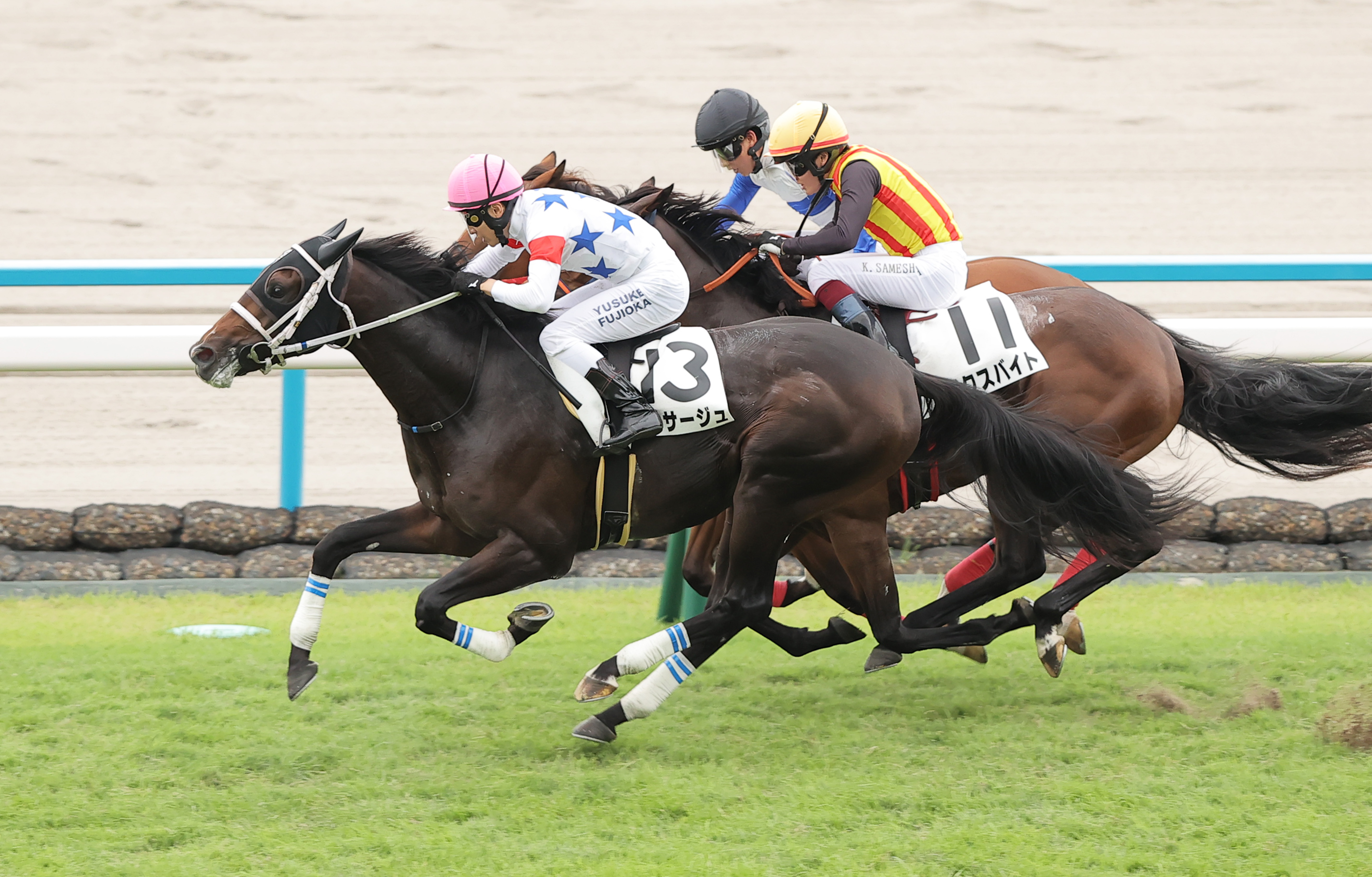 2歳新馬・京都5R】ヴィサージュが力強く抜け出し接戦制す JRA通算1100