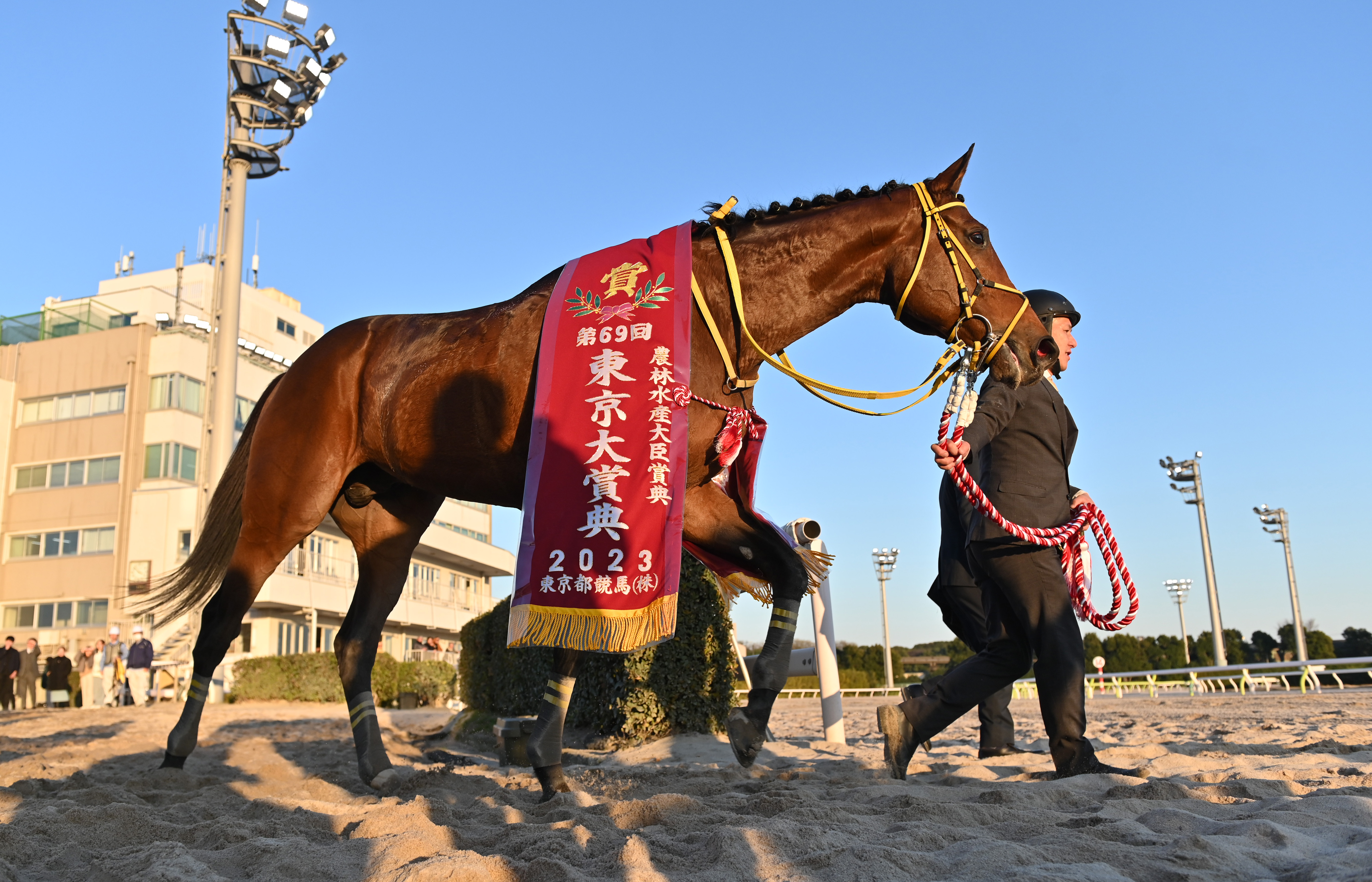 ４歳以上次走報】ウシュバテソーロはドバイワールドＣが春の大目標