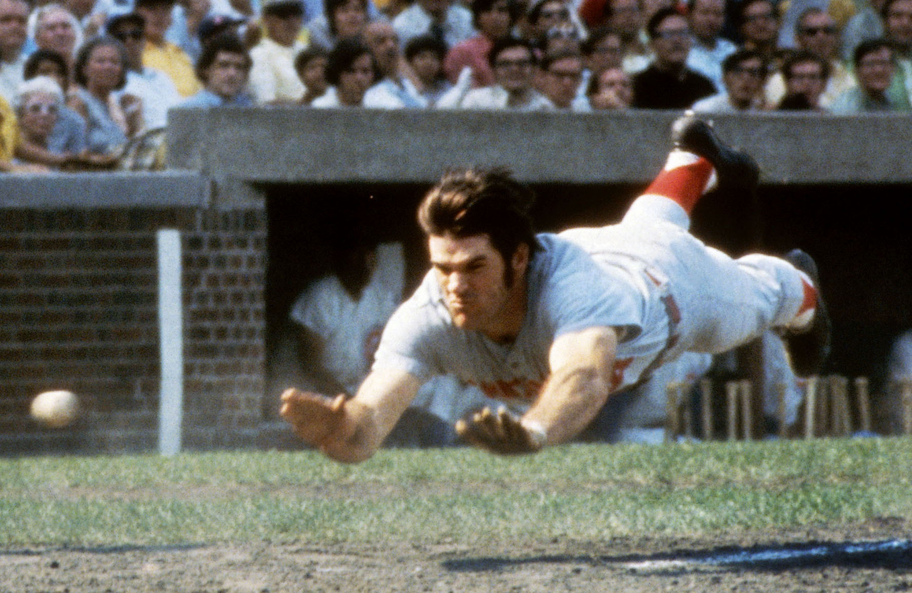 ピート ローズ ボブルヘッド ピートローズ バブルヘッド 球場配布品