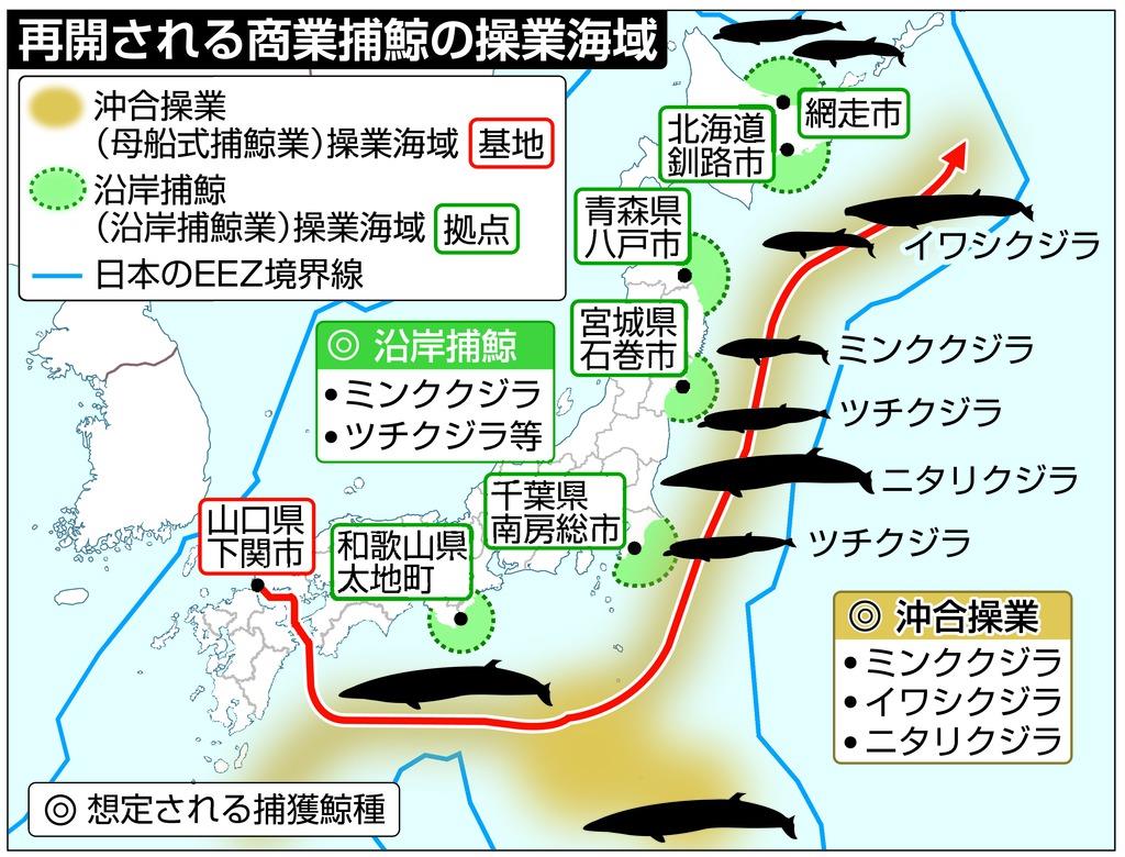 水産庁ｖｓ外務省 捕鯨めぐり攻防 最後は政治決着 1 3ページ 産経ニュース