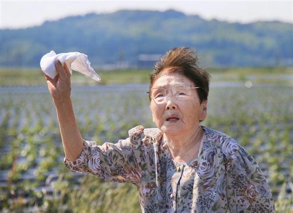 記憶の風景－戦後70年】特攻隊が見た「最後の本土」 鹿児島県