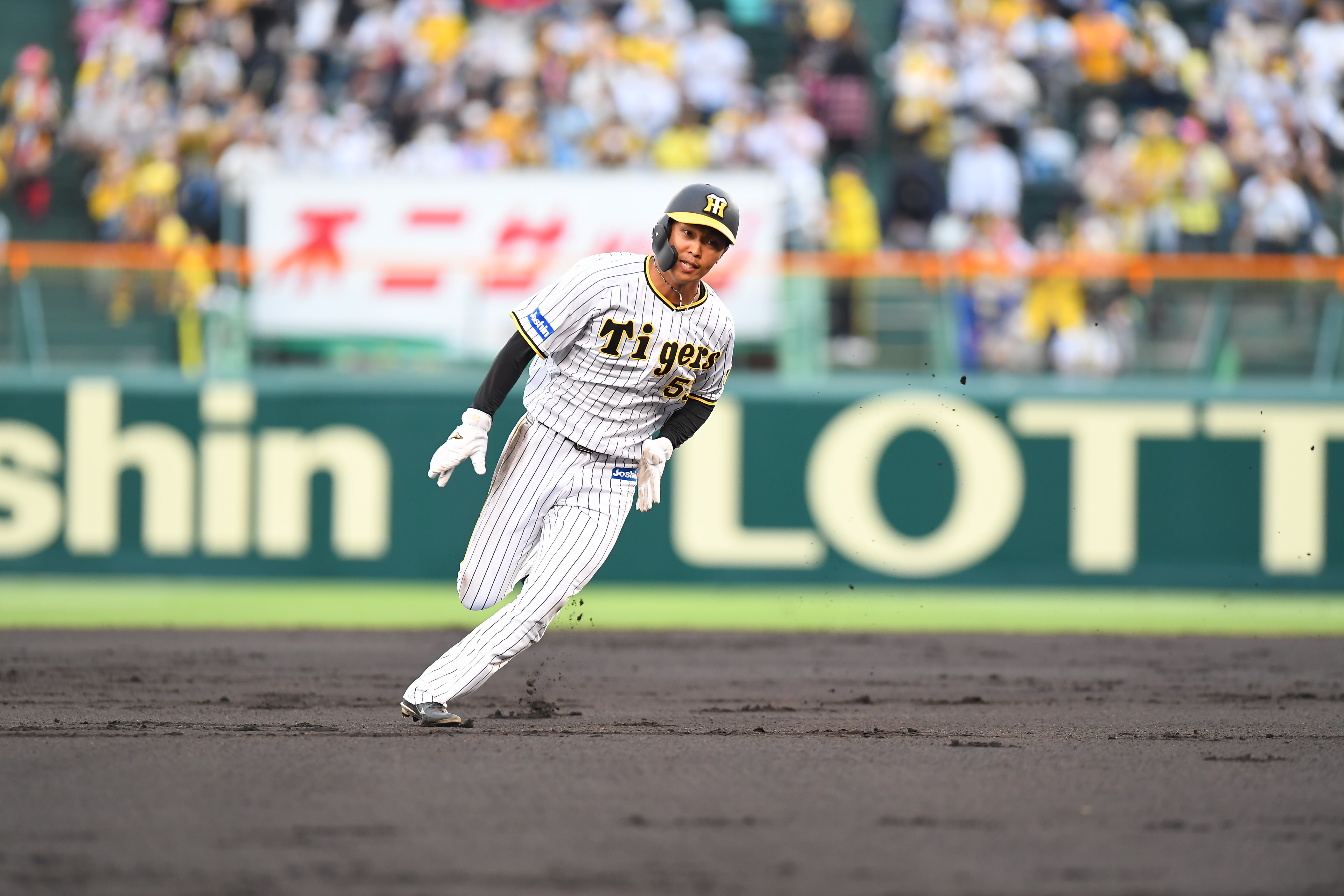 人気うなぎ上り 阪神 島田に応援歌できた 1 2ページ サンスポ