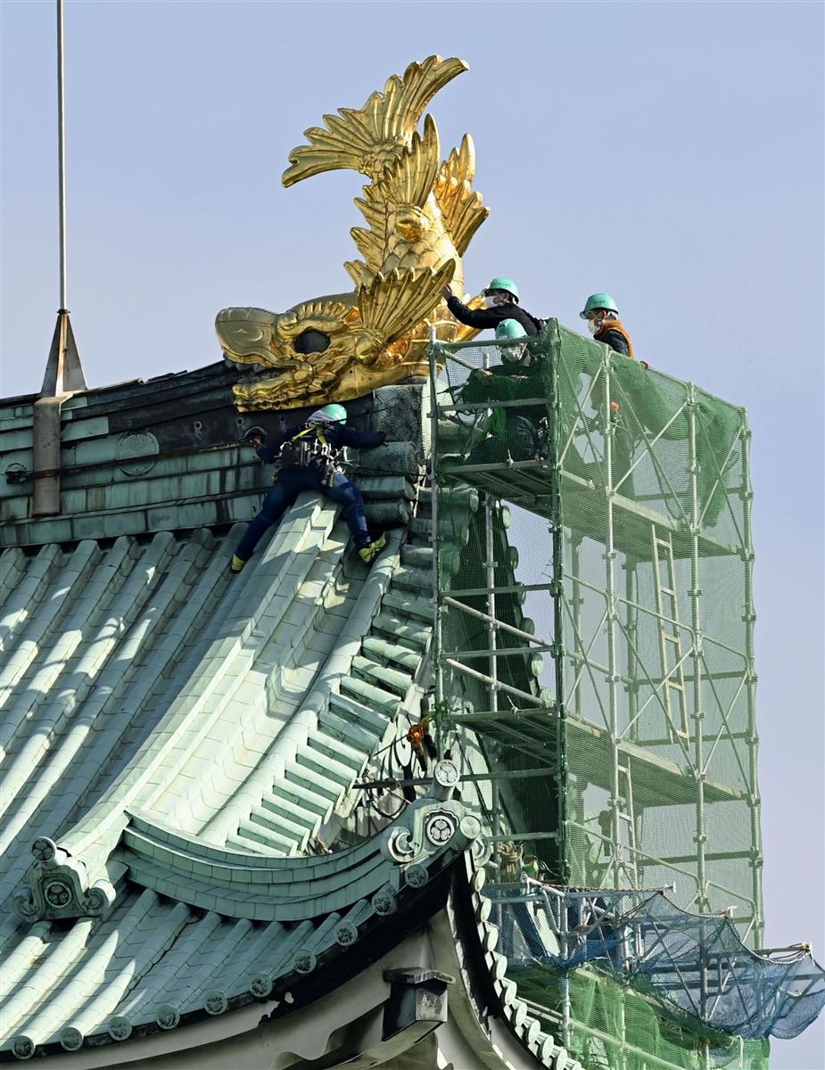 金しゃち、いったん見納め 名古屋城の地上展示準備で - サンスポ 金しゃち、いったん見納め 名古屋城の地上展示準備で - サンスポ
