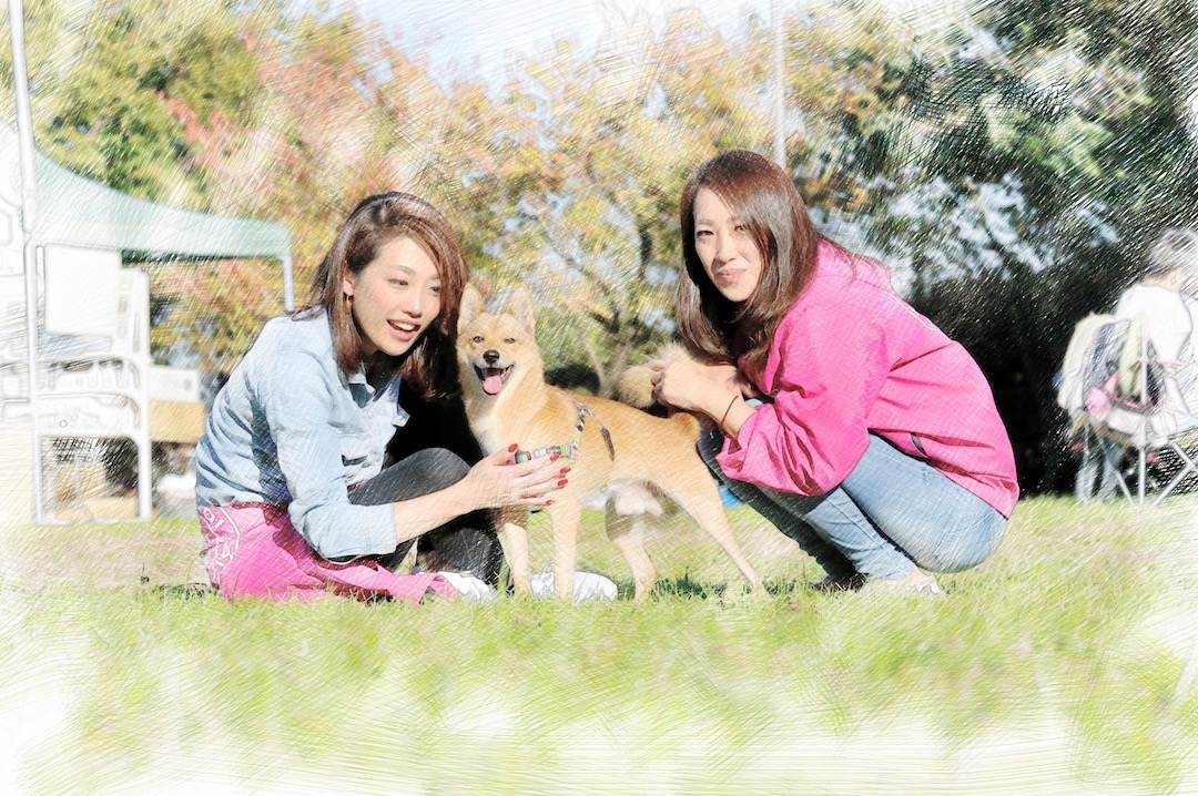 3.11』 愛犬が我が家にやってきて11年。 - イザ！