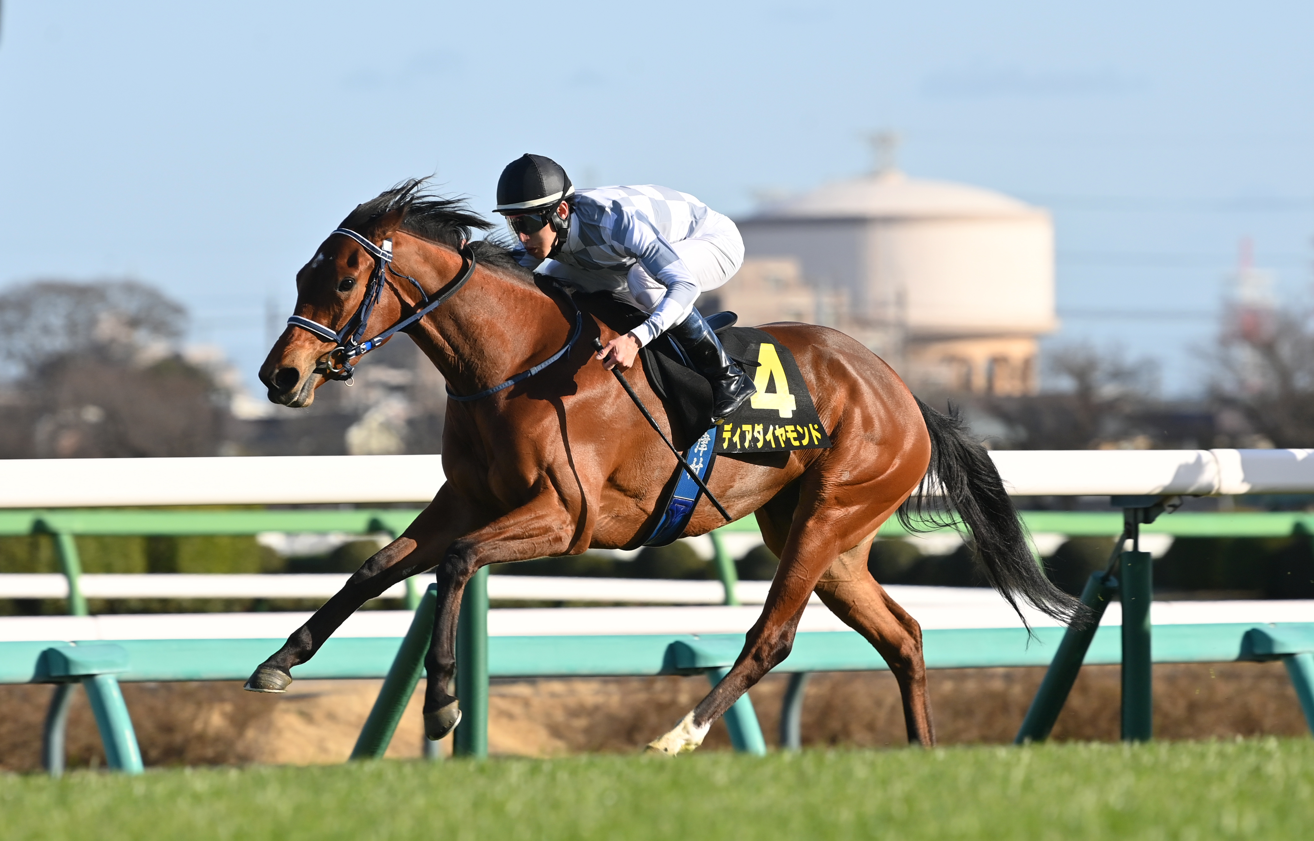 アネモネS】ディアダイヤモンド快勝！ 僚馬ギリーズボールに続く桜切符