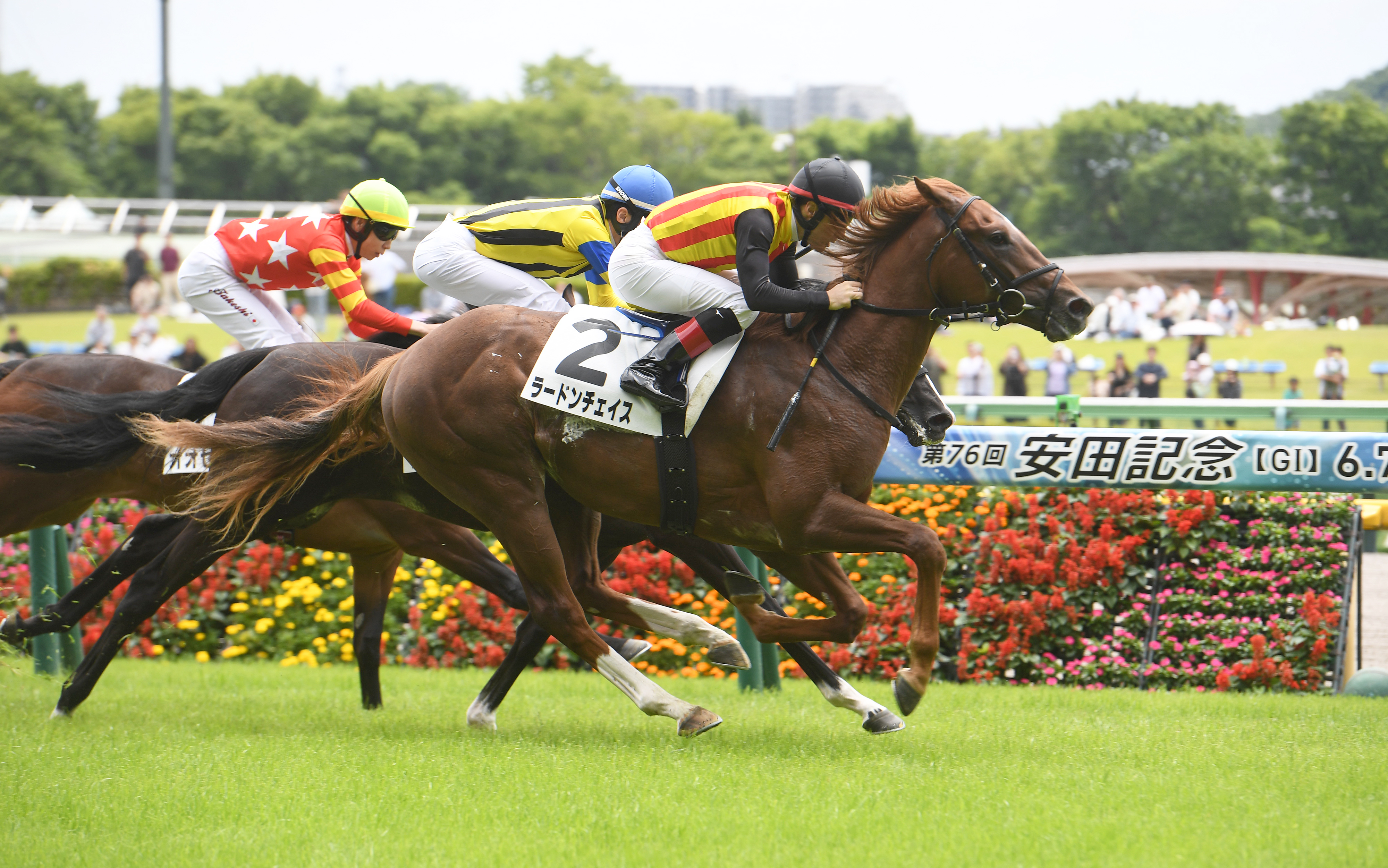 2歳新馬・東京4R】世代最初の新馬戦は3番人気のラードンチェイスが