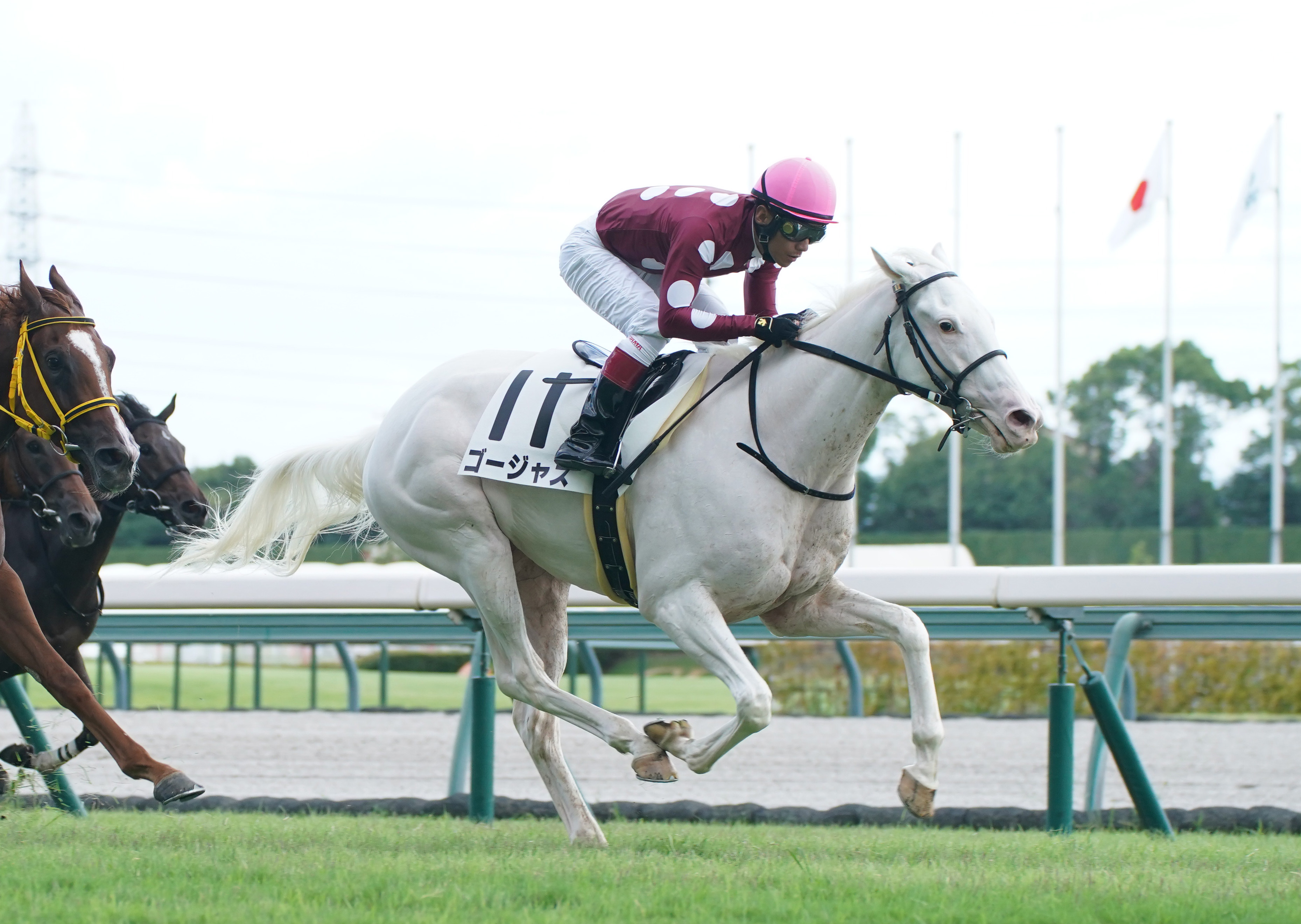 2歳新馬・中京5R】白毛馬ゴージャスが豪快にまくってデビュー勝ち