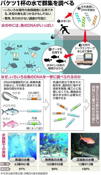 産経ニュース