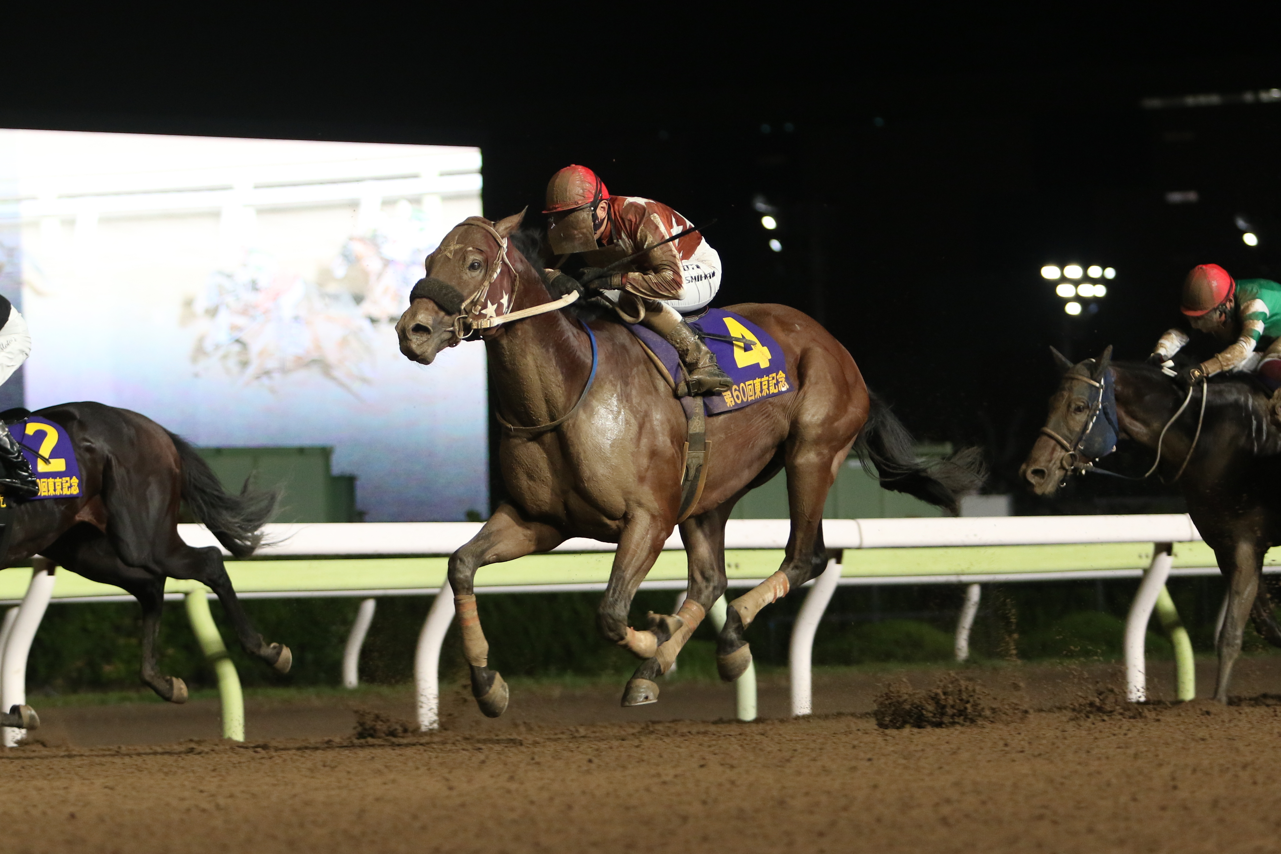 【東京記念】セイカメテオポリスが人気に応えて重賞３連勝飾る