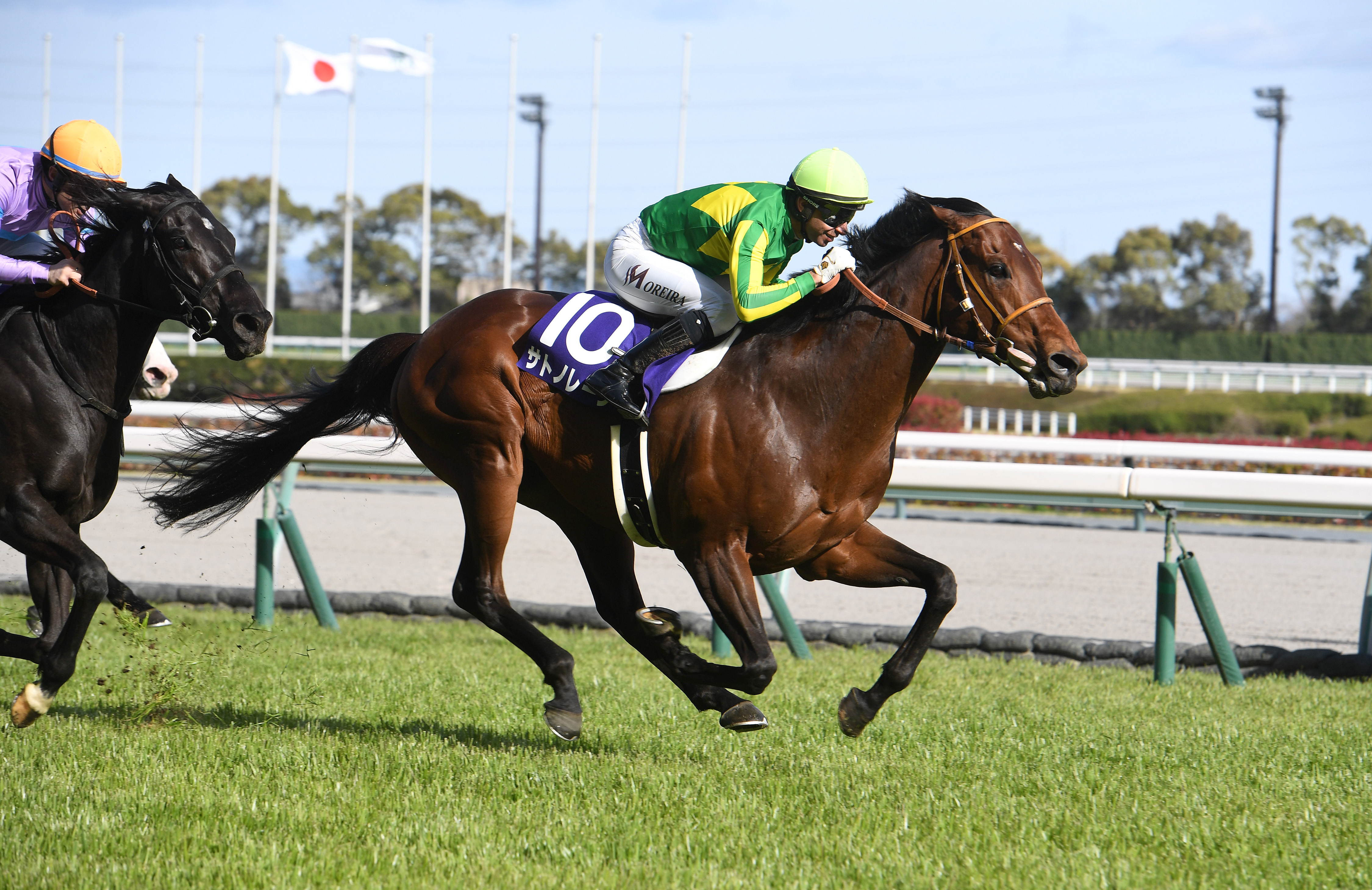 スプリンターズS 枠順確定】春秋GI制覇を狙うサトノレーヴは4枠7番