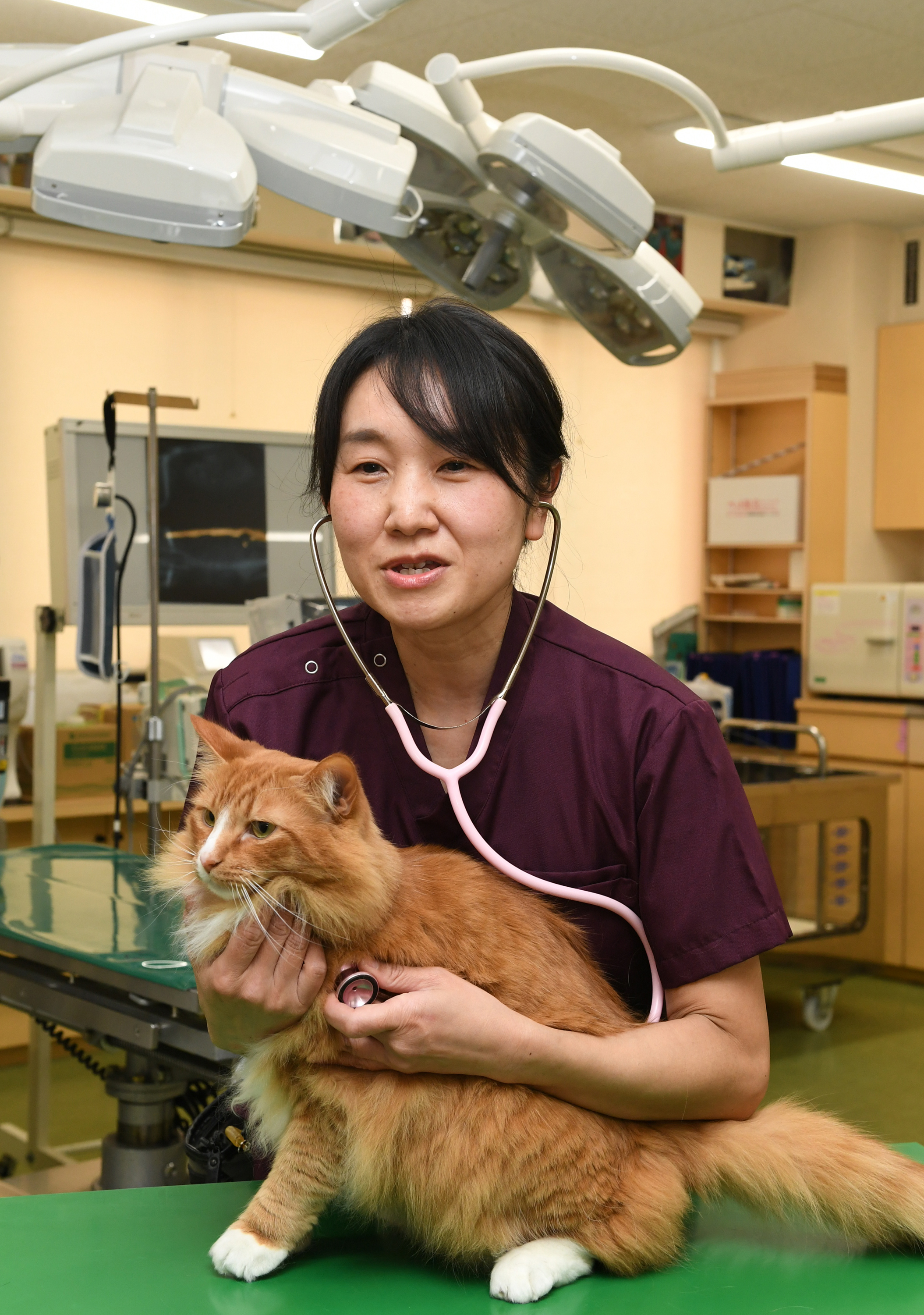 野生動物の看護学 61ZV045p0qL.jpg