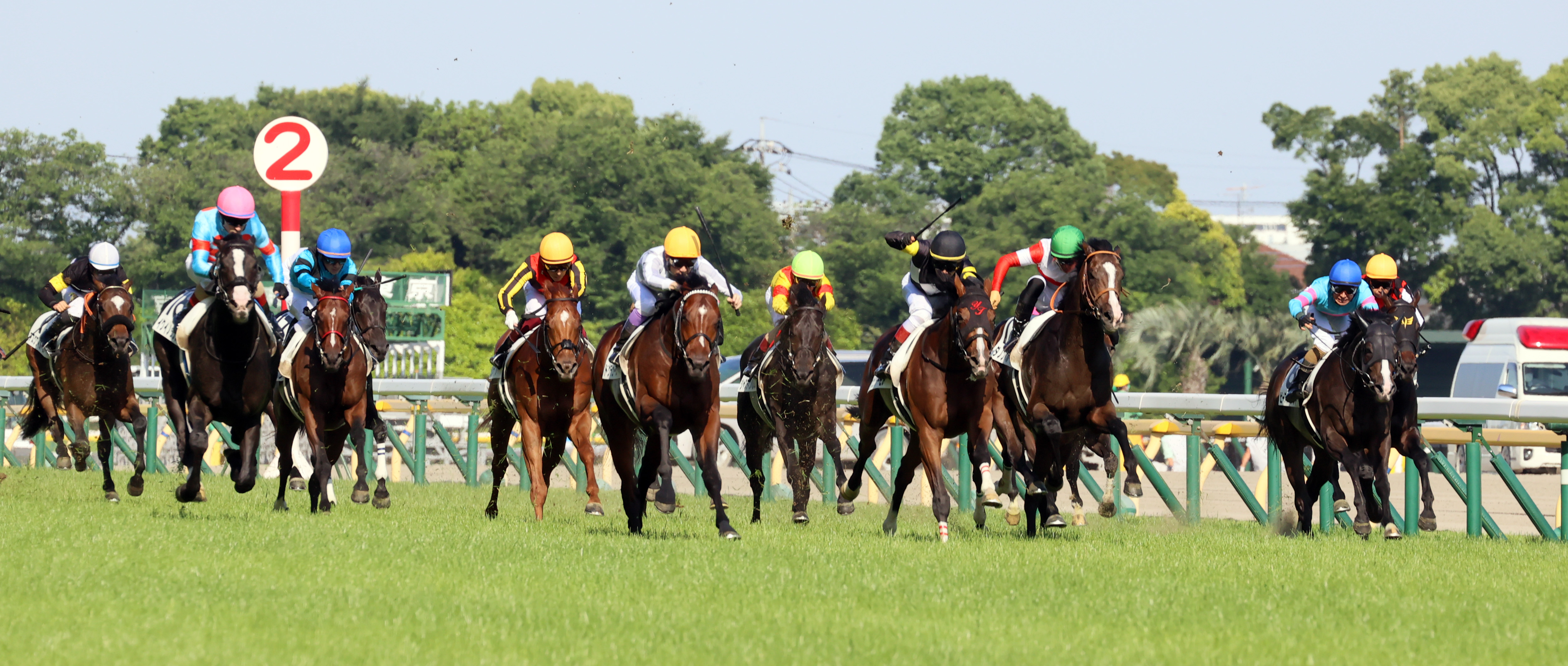 【日本ダービーの注目点】第９０回の節目を迎える競馬の祭典 