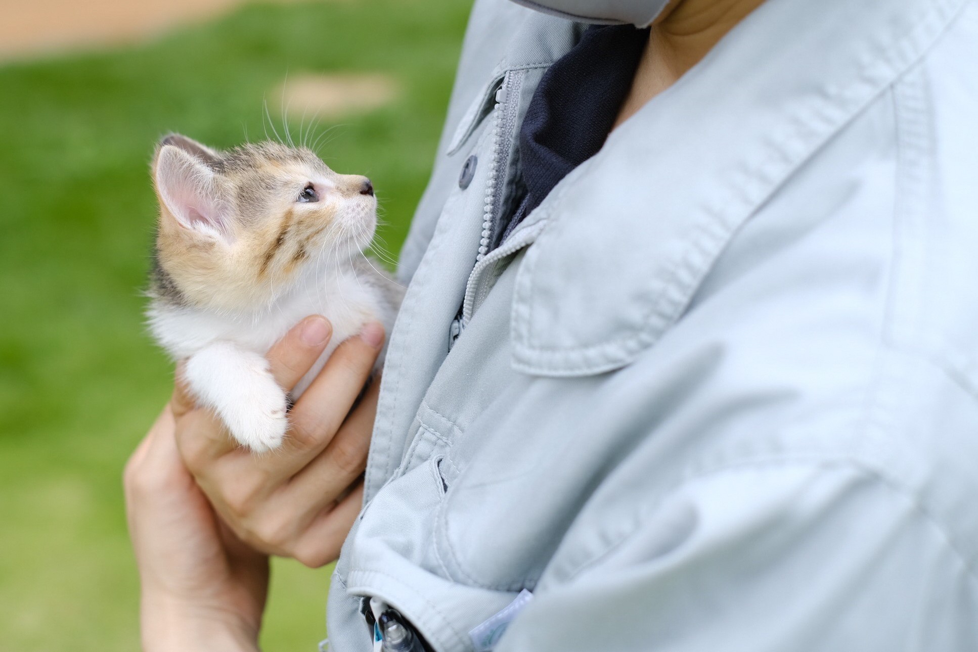 ふるさと納税 【返礼品なし】【犬猫等愛護活動 犬と猫と人にとって住み