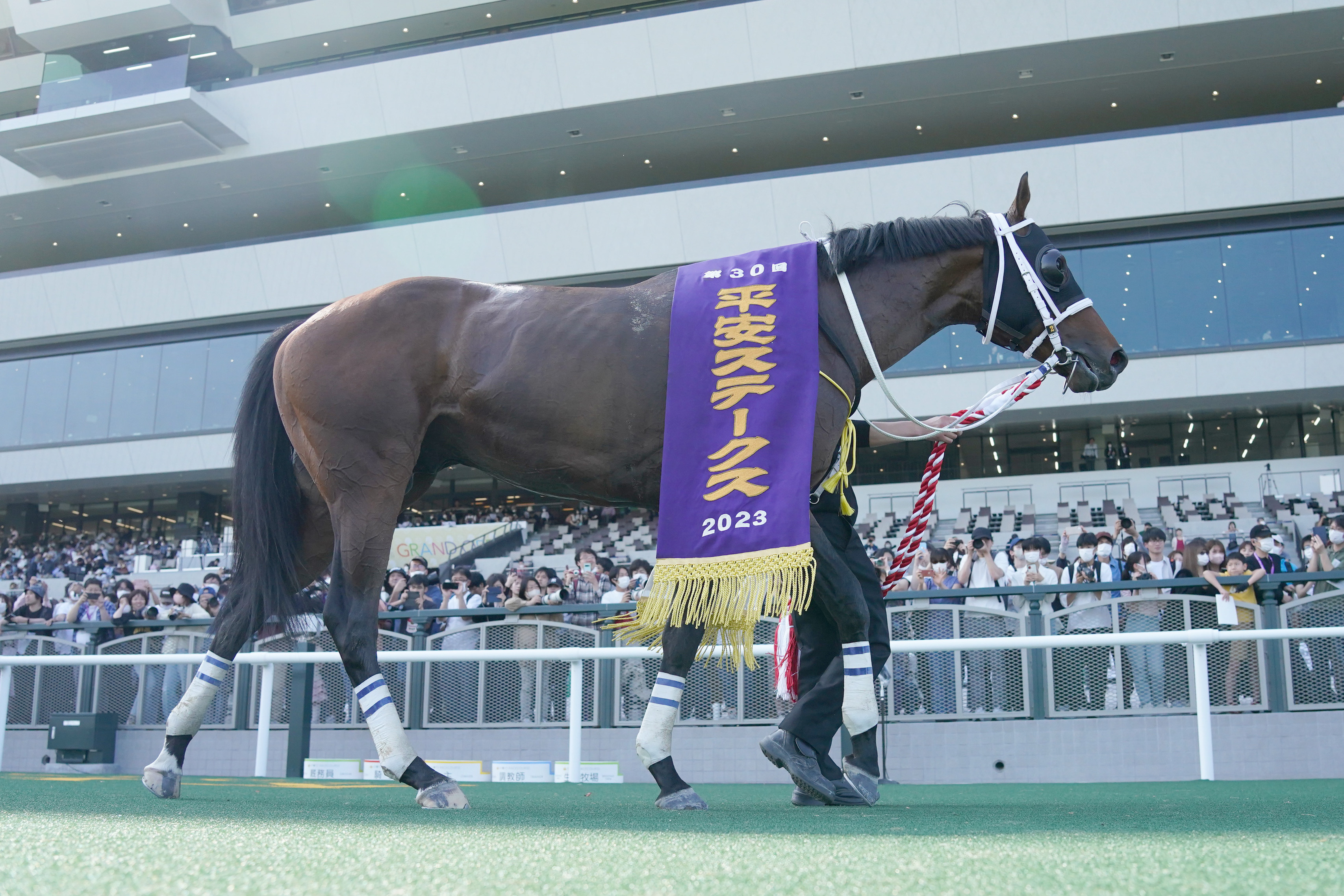 【２０日名古屋１１Ｒ】メルトＯＰ特別なら力上位